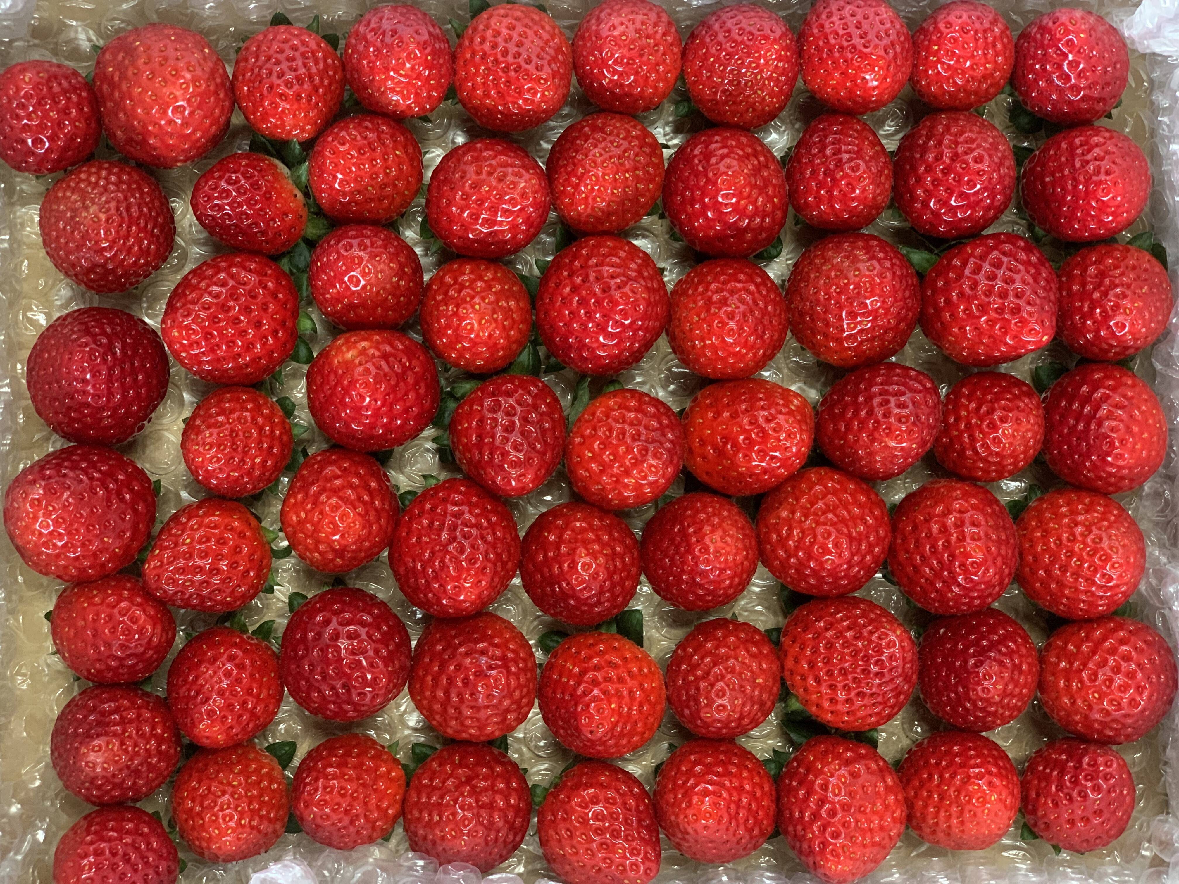 ☆新商品☆【希少あまりん】小粒600g🍓：埼玉県産のあまりん｜食べ