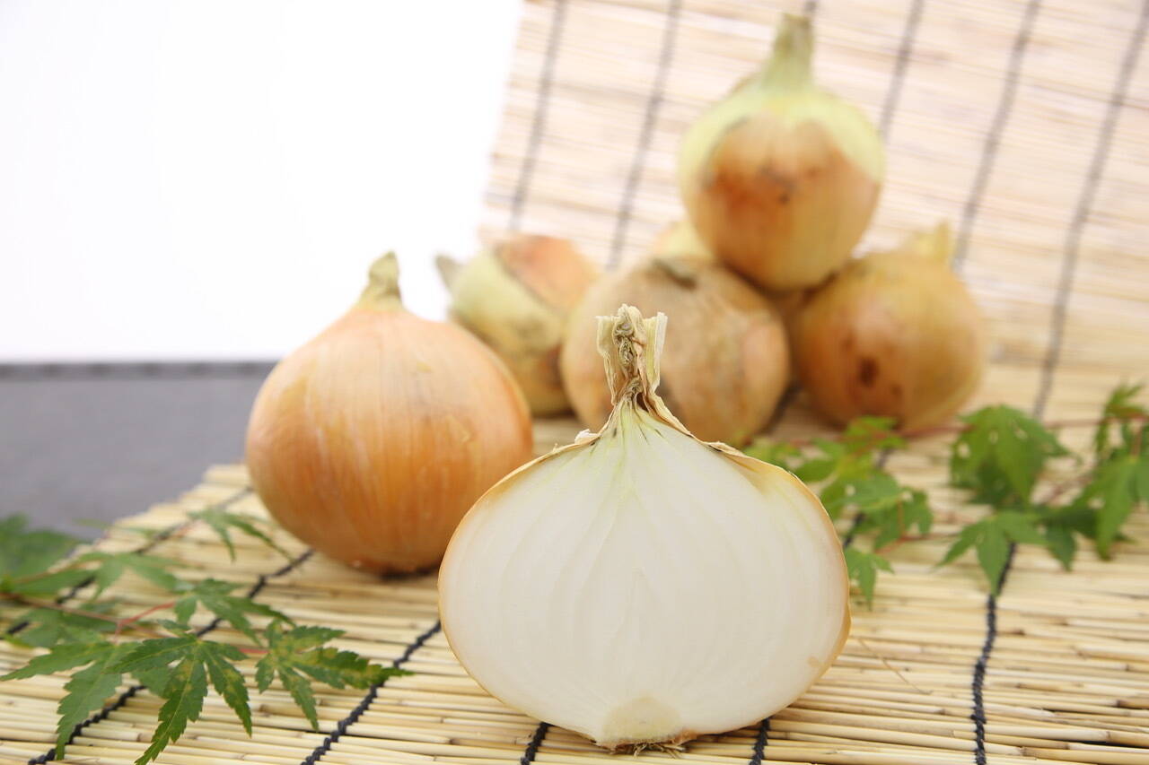 淡路島産玉ねぎ ５kg Awaji Fancy Onion：兵庫県産のターザン｜食べ