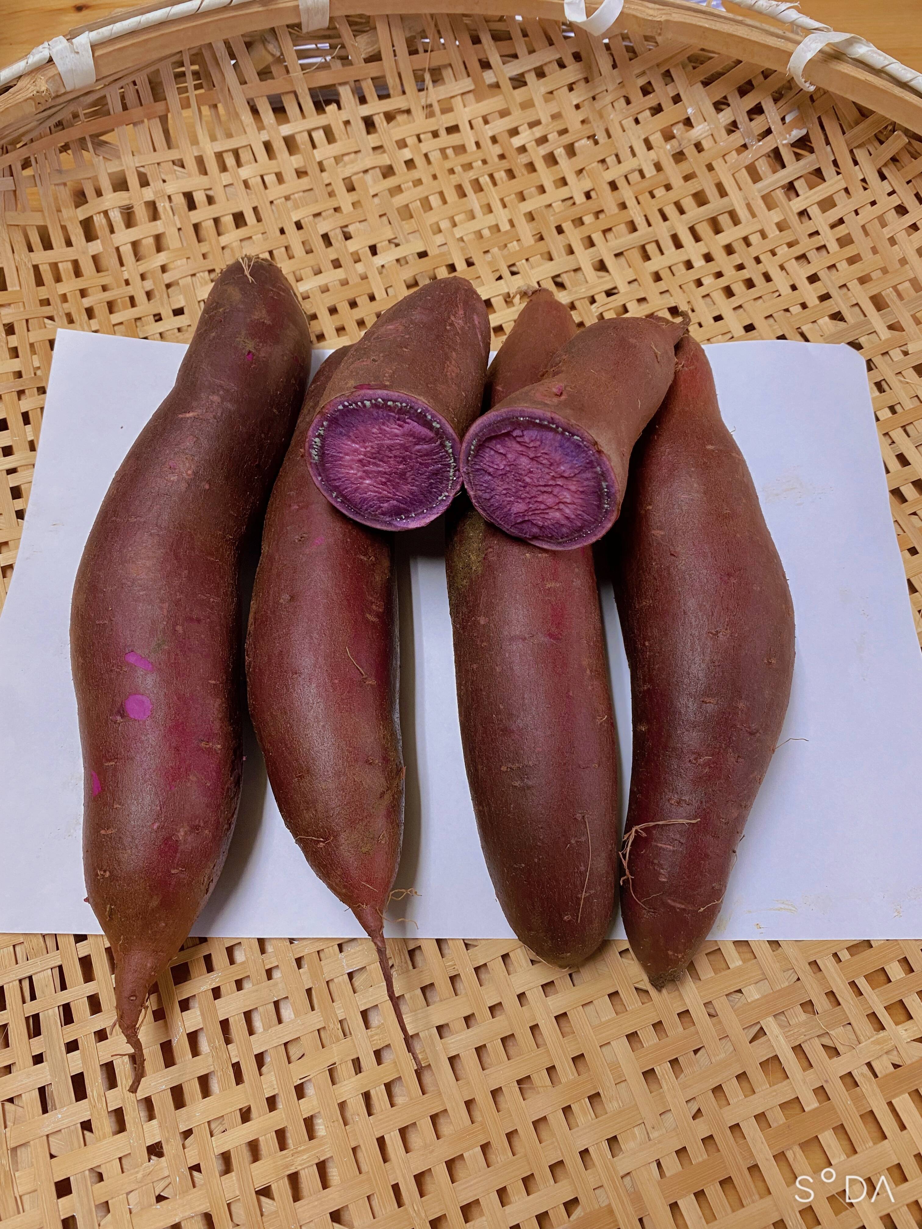 ふくむらさき｜食べチョク｜産地直送(産直)お取り寄せ通販 - 農家