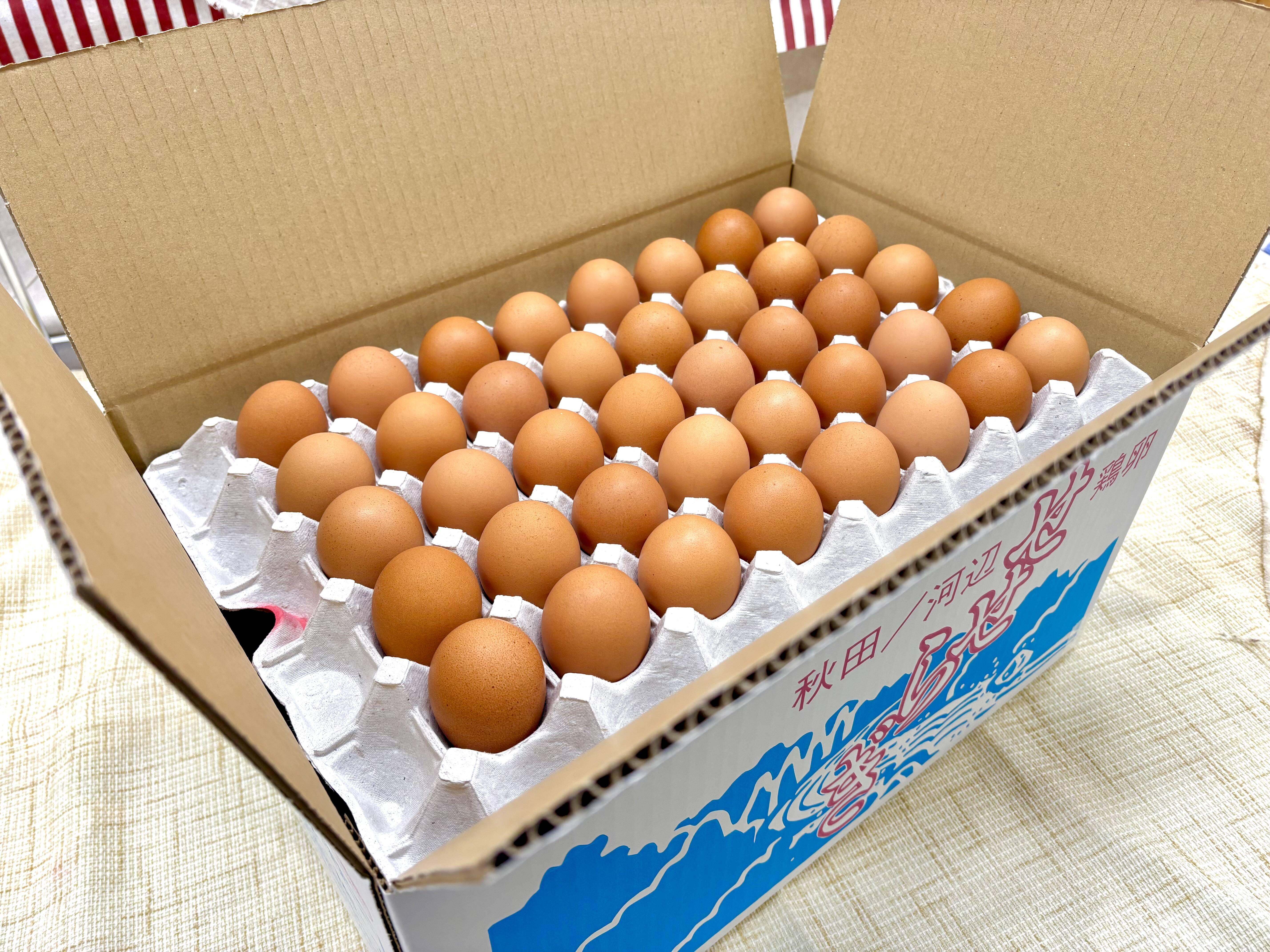 20箱限定!!国産鶏種もみじの元旦初産み新鮮たまご150個