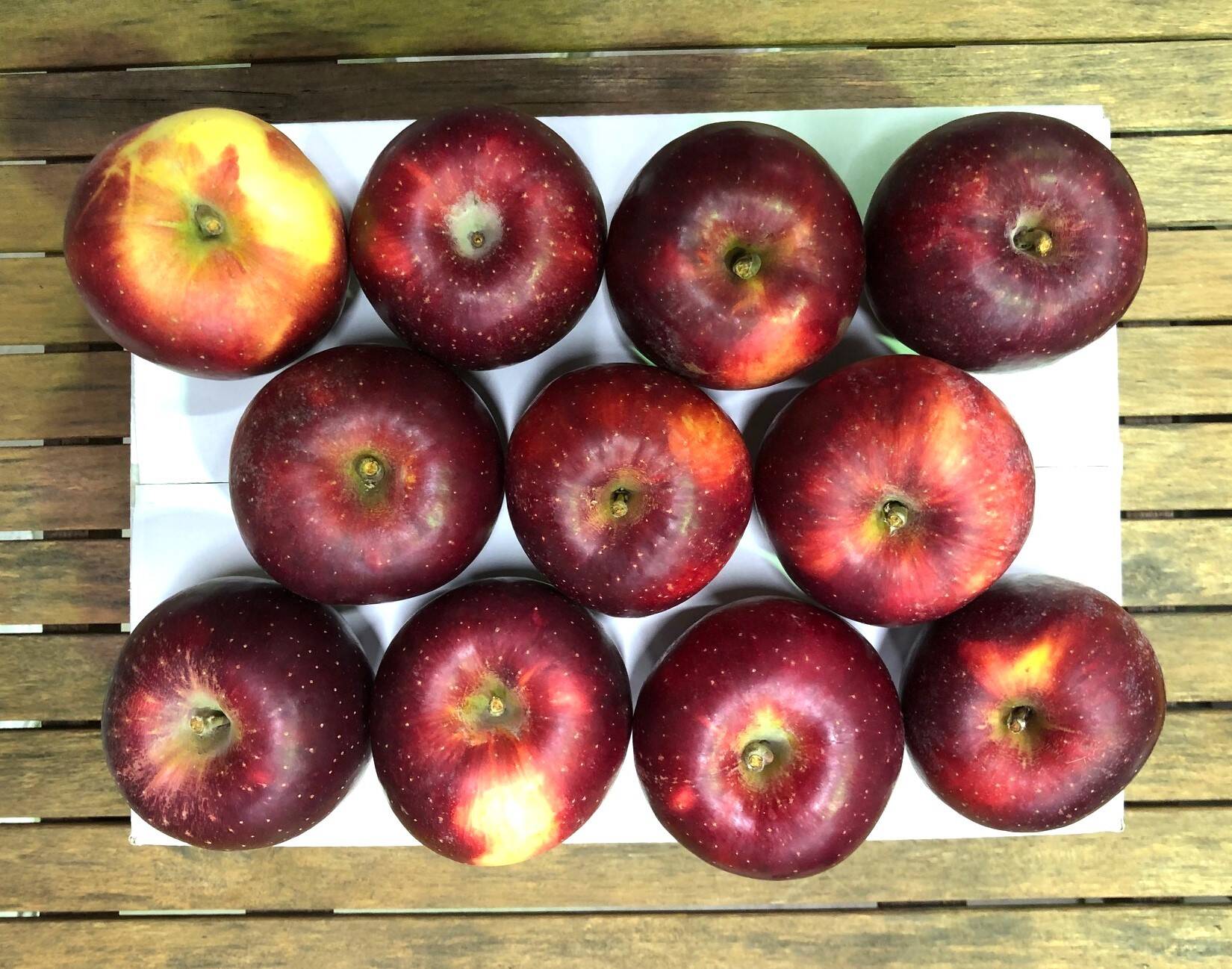 🍴 Eat choku ｜ [Apple] The one and only Fukushima original variety!Pick a sour taste! "Benikohaku 3kg" Fresh apples using freshness preservation technology …