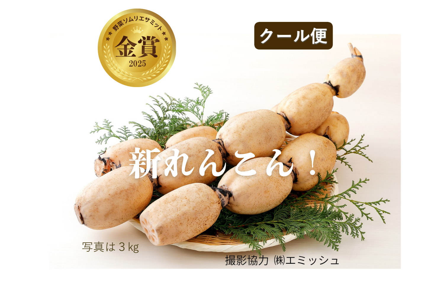 クール便【2025年野菜ソムリエサミット金賞】すずきの「口福れんこん