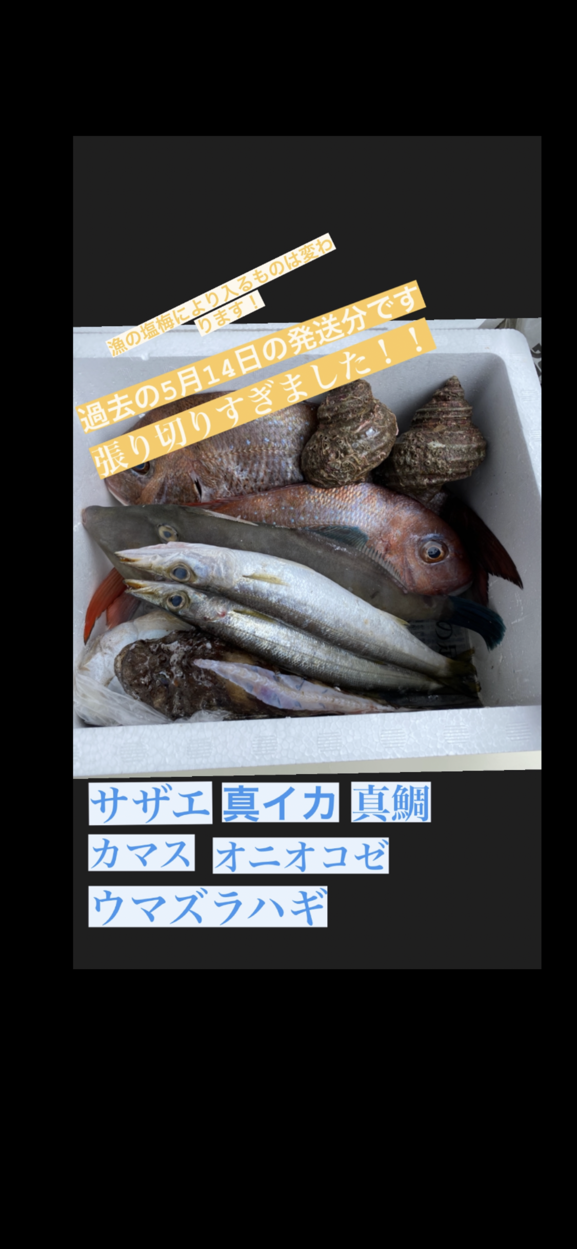 海鮮パックの詰め合わせ 鮮魚 海の幸 津本式血抜き 瀬戸内海 天然 漁師 刺身 海産物 5個限定 愛媛県産 食べチョク 農家 漁師の産直ネット通販 旬の食材を生産者直送