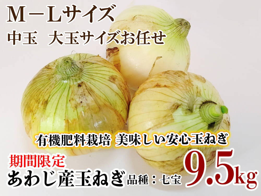 新鮮な玉ねぎ 中サイズ　あくび 新鮮な玉ねぎ 中サイズ あくび Amazon.co.jp: たまねぎ 北海道産