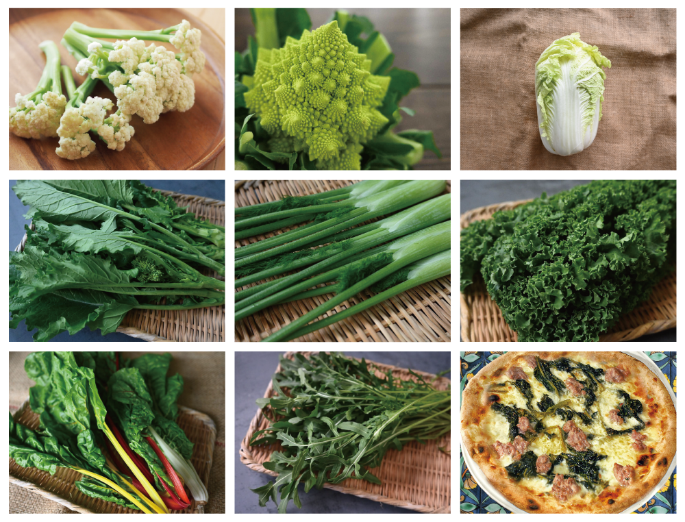 月・金曜発送便】ココロ躍る🌈おまかせ野菜セット【さいたま市産