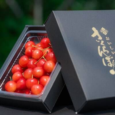 紅秀峰 】【 50g増量中 】さくらんぼ 山形県天童産 300g パック詰め