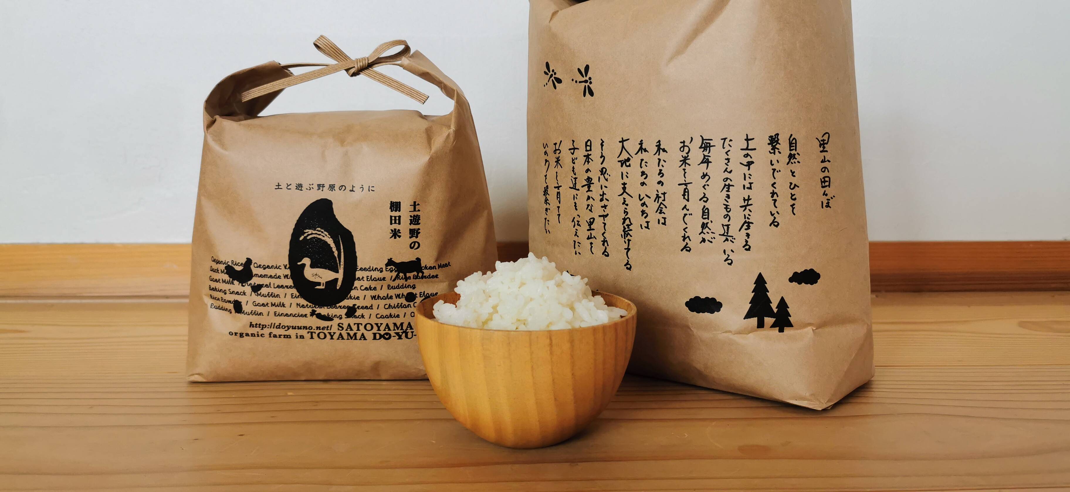 2024年産 富山県産新大正もち 玄米30kg【もち米】新米 新大正もち米（新大正糯） ファーム八乙女