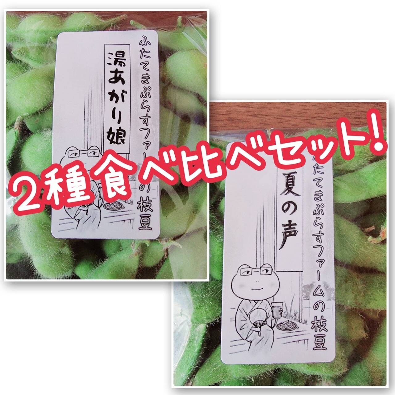 定番品種の食べ比べ！枝豆『湯あがり娘』と『夏の声』各1キロ：兵庫県