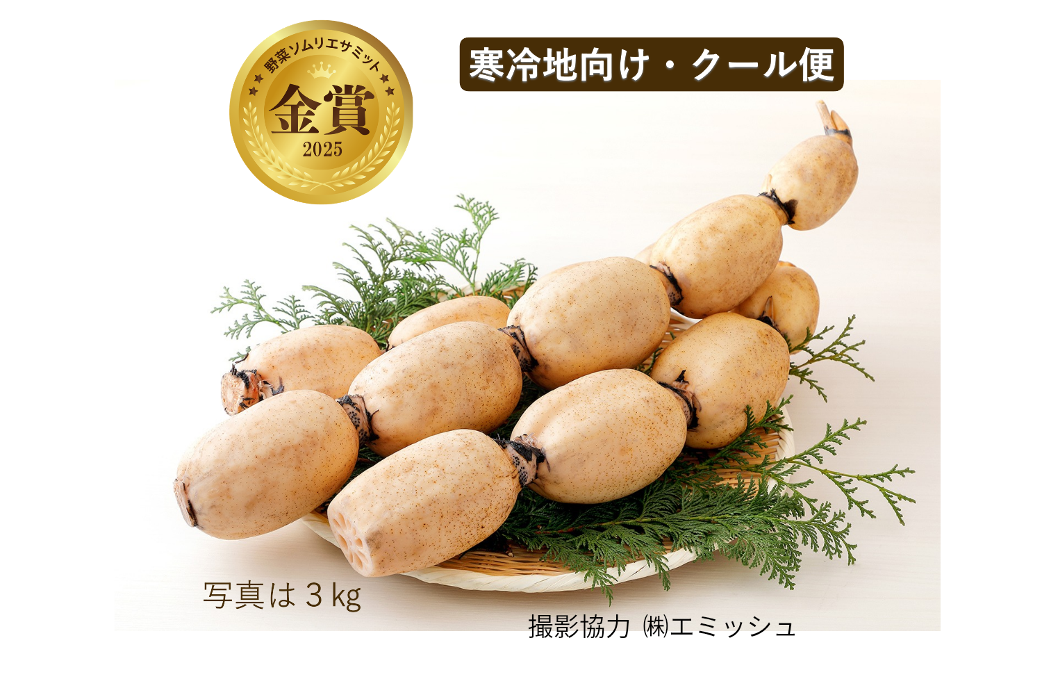 2025年野菜ソムリエサミット金賞】（クール便）すずきの「口福れんこん