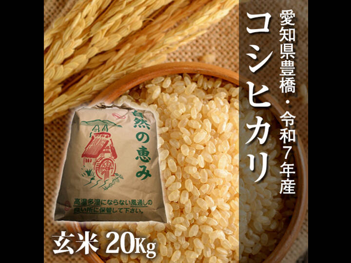 節減対象農薬6割減】コシヒカリ 玄米20g【令和7年・愛知県産】：愛知県