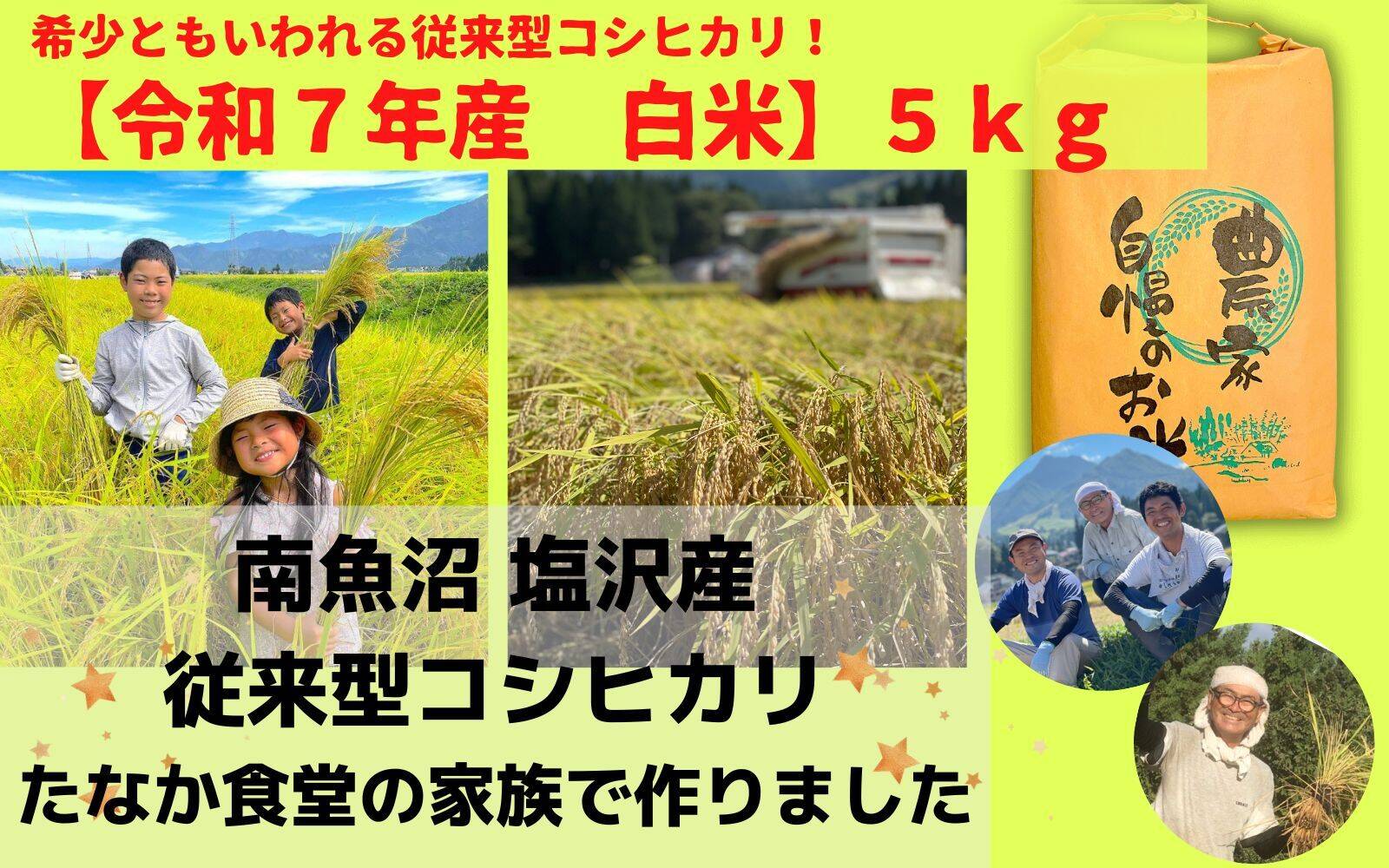 令和7年産米】ツヤツヤ輝く従来型コシヒカリ（精米5kg）：新潟県産