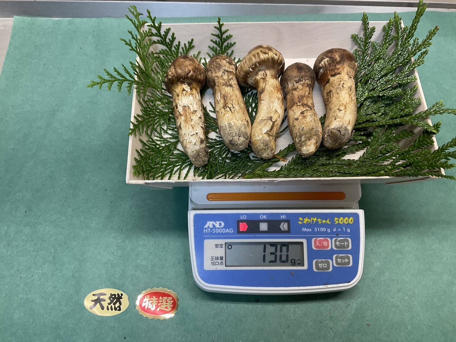 松茸 秋の味覚の王様】松茸/マツタケ/まつたけ/純国産/つぼみ/130g【特上