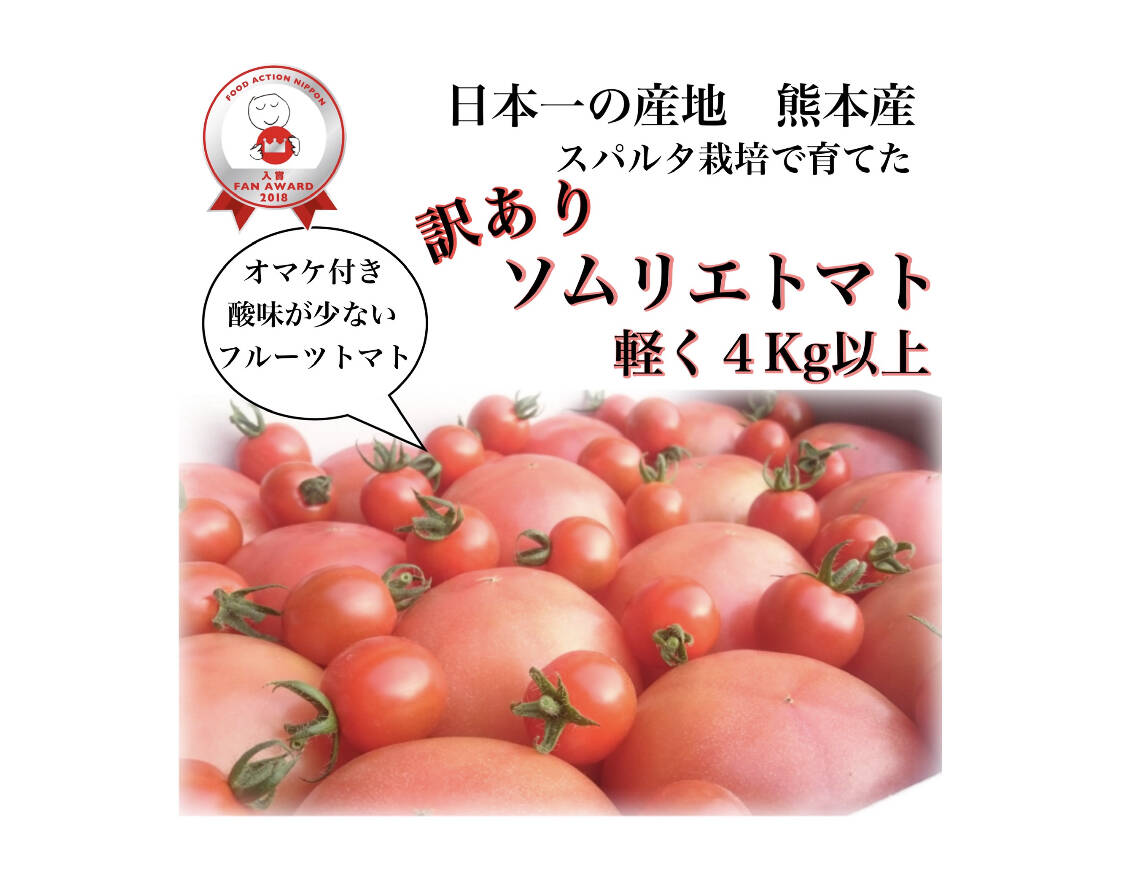 品質保証 トマト様専用 - タバコグッズ - labelians.fr