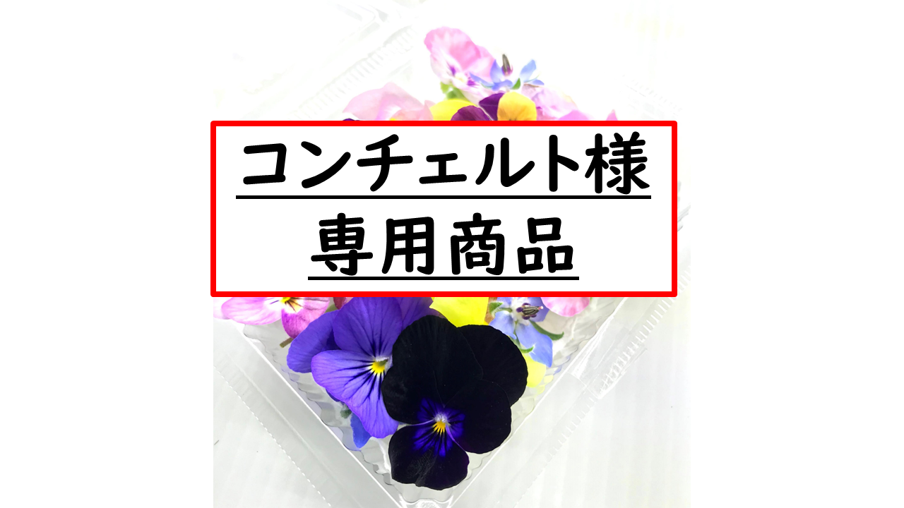 コンチェルト 様 専用商品 定期便 【エディブルフラワー マリー