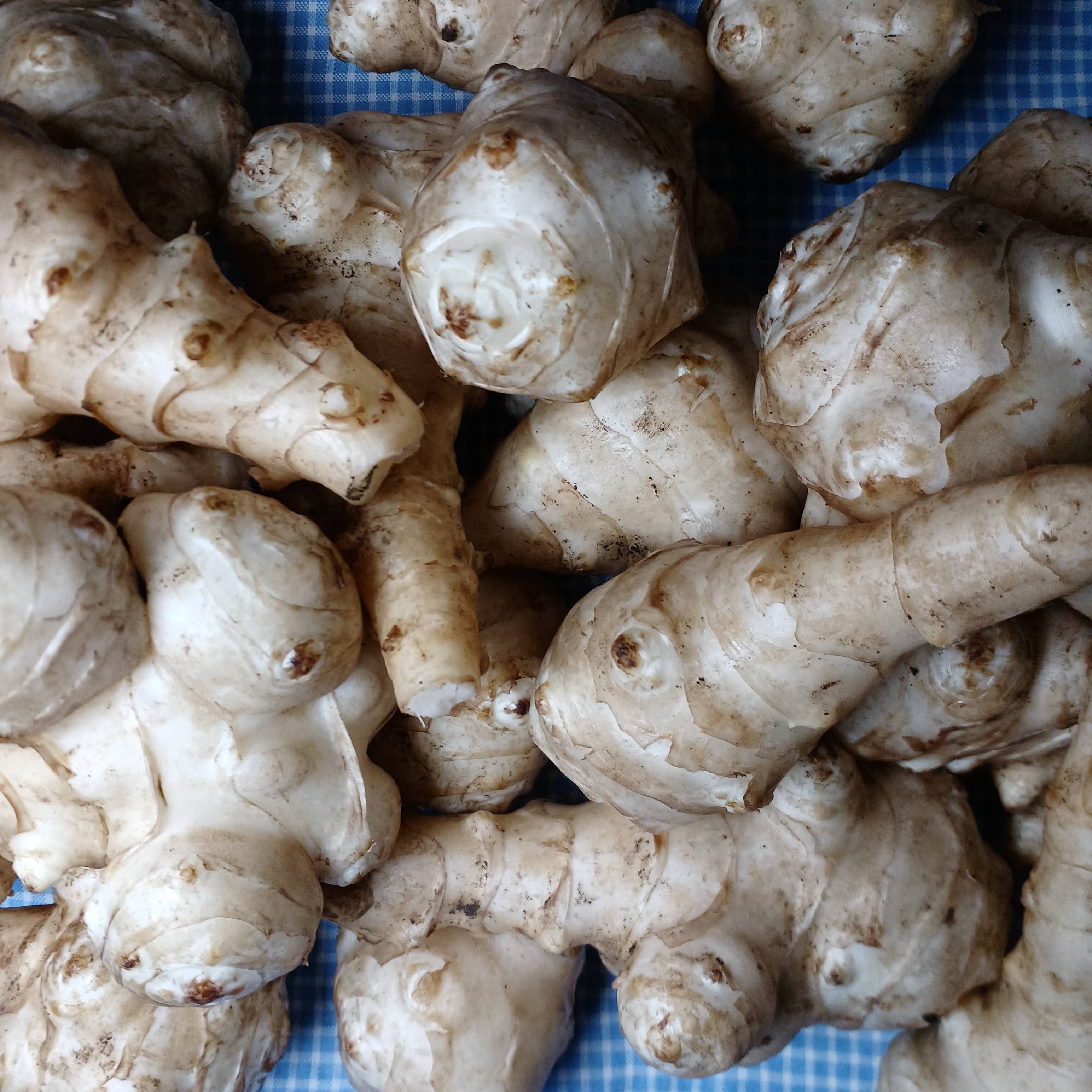 自然栽培のキクイモ2㎏とちょっと⭐：茨城県産の白菊芋｜食べチョク