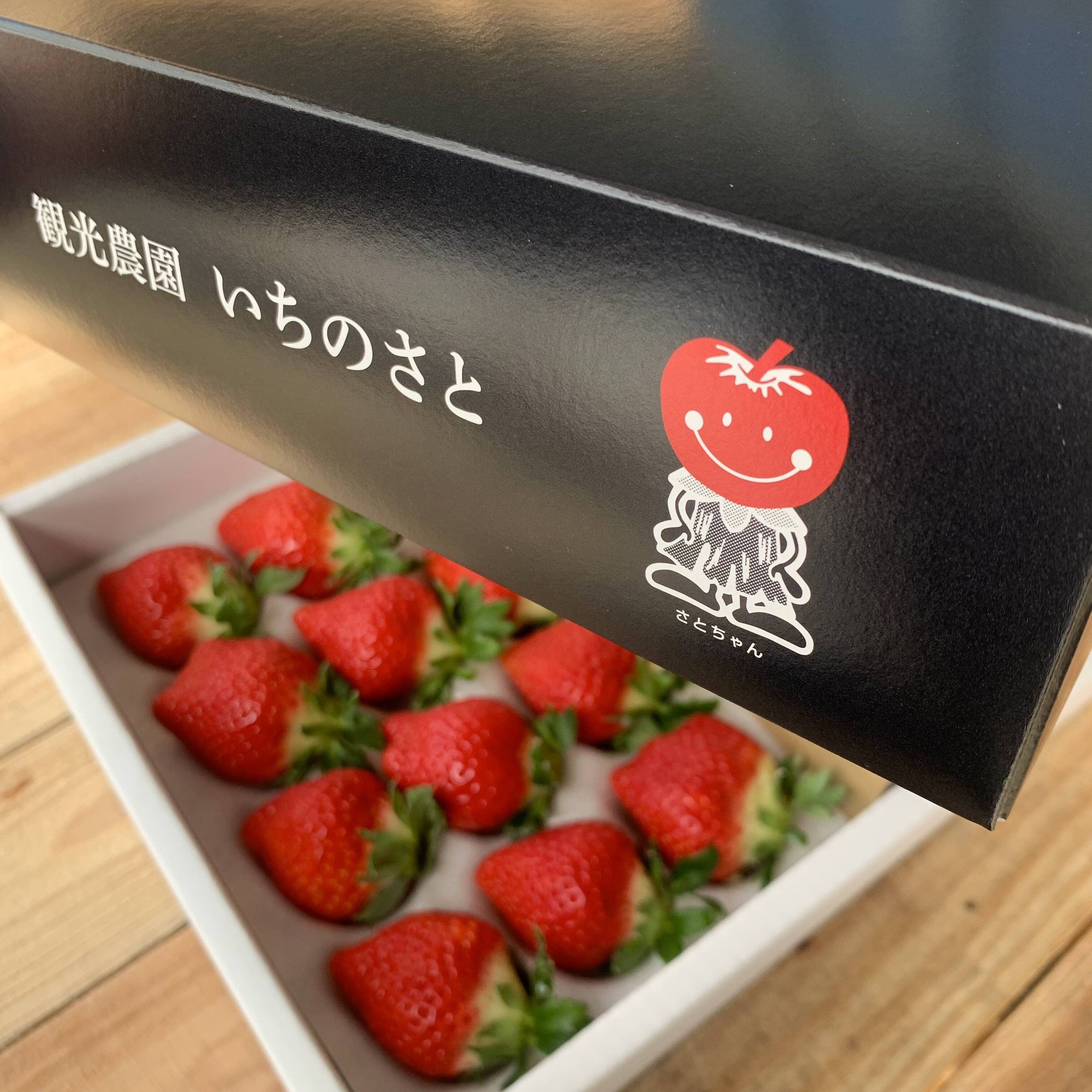 厳選】佐賀の新ブランドいちご🍓『いちごさん』1箱(約460g×2p入)：佐賀