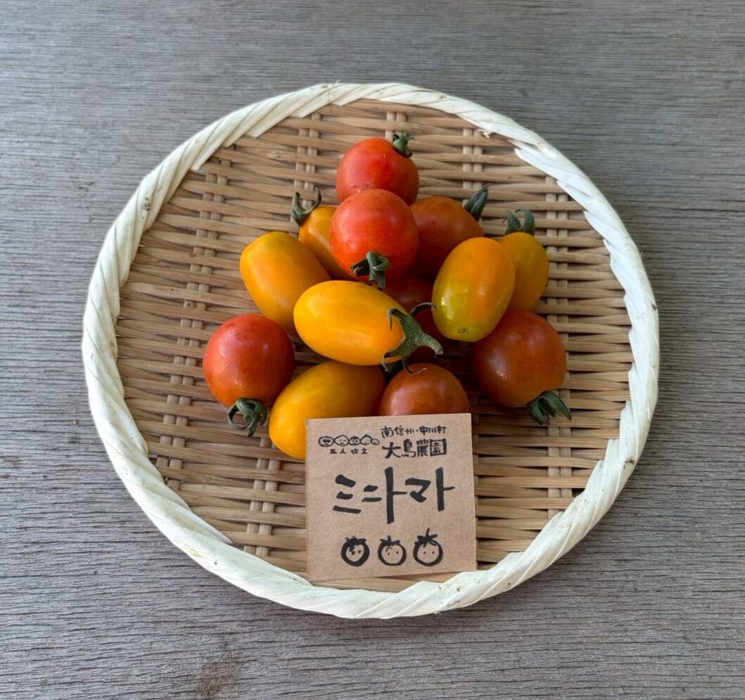 朝どれ】カラフルが嬉しい！ミニトマトミックス 1袋(200g)：長野県産の