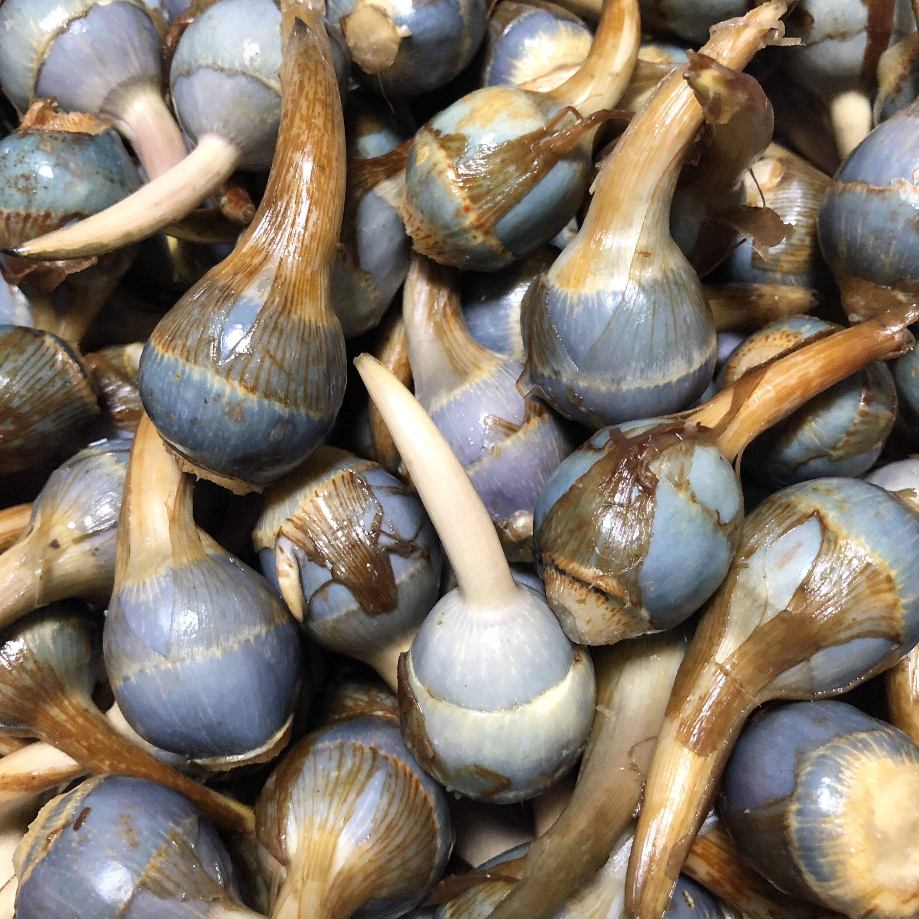 1cff244105005189f73c08a0cf9866