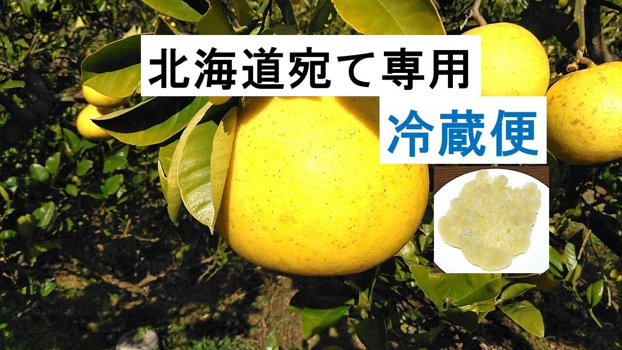 化学合成農薬栽培期間中不使用 土佐文旦 家庭用訳あり品 大小混合 L