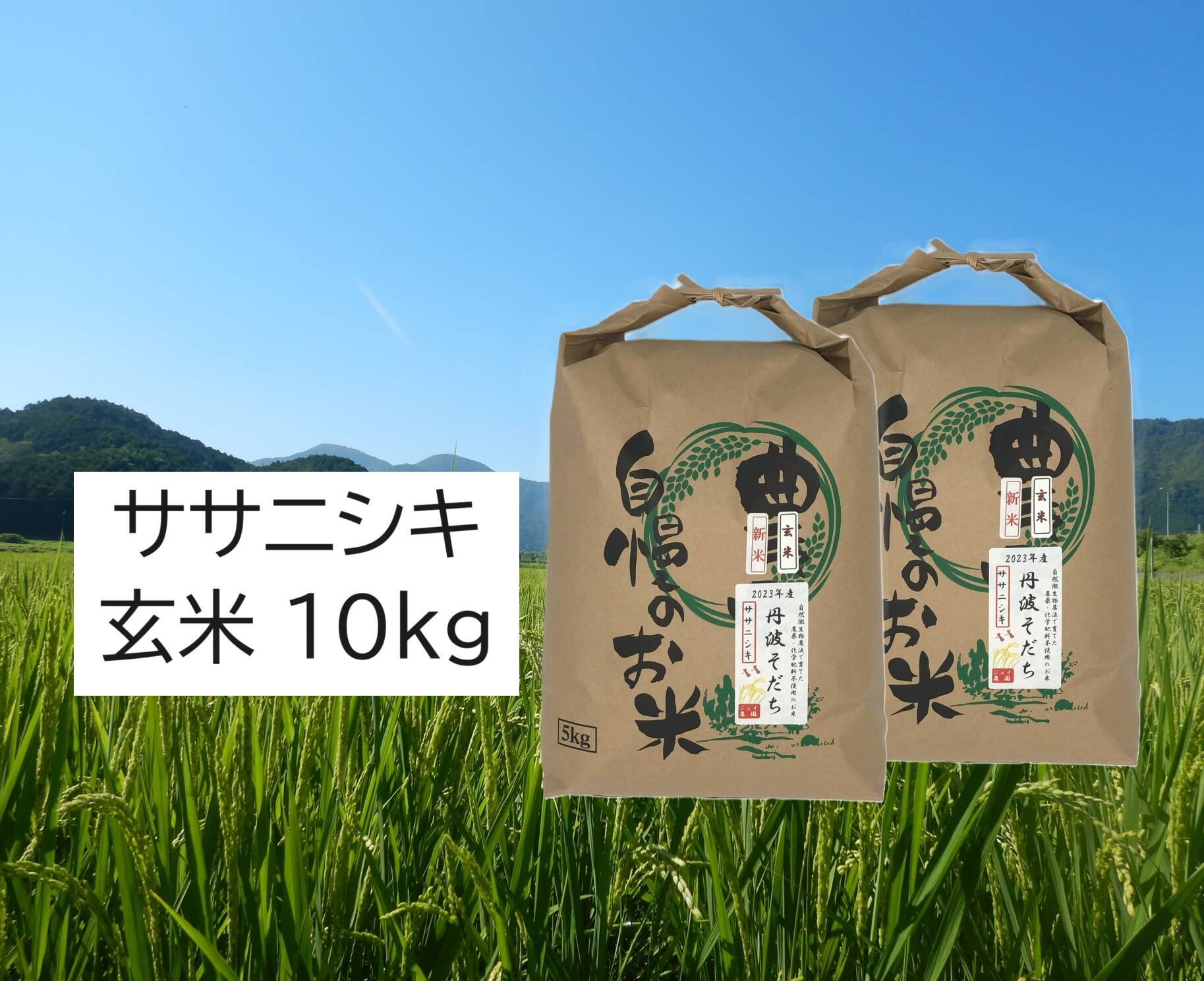 新米・2026年産】自然栽培米『ササニシキ』玄米10kg：兵庫県産の