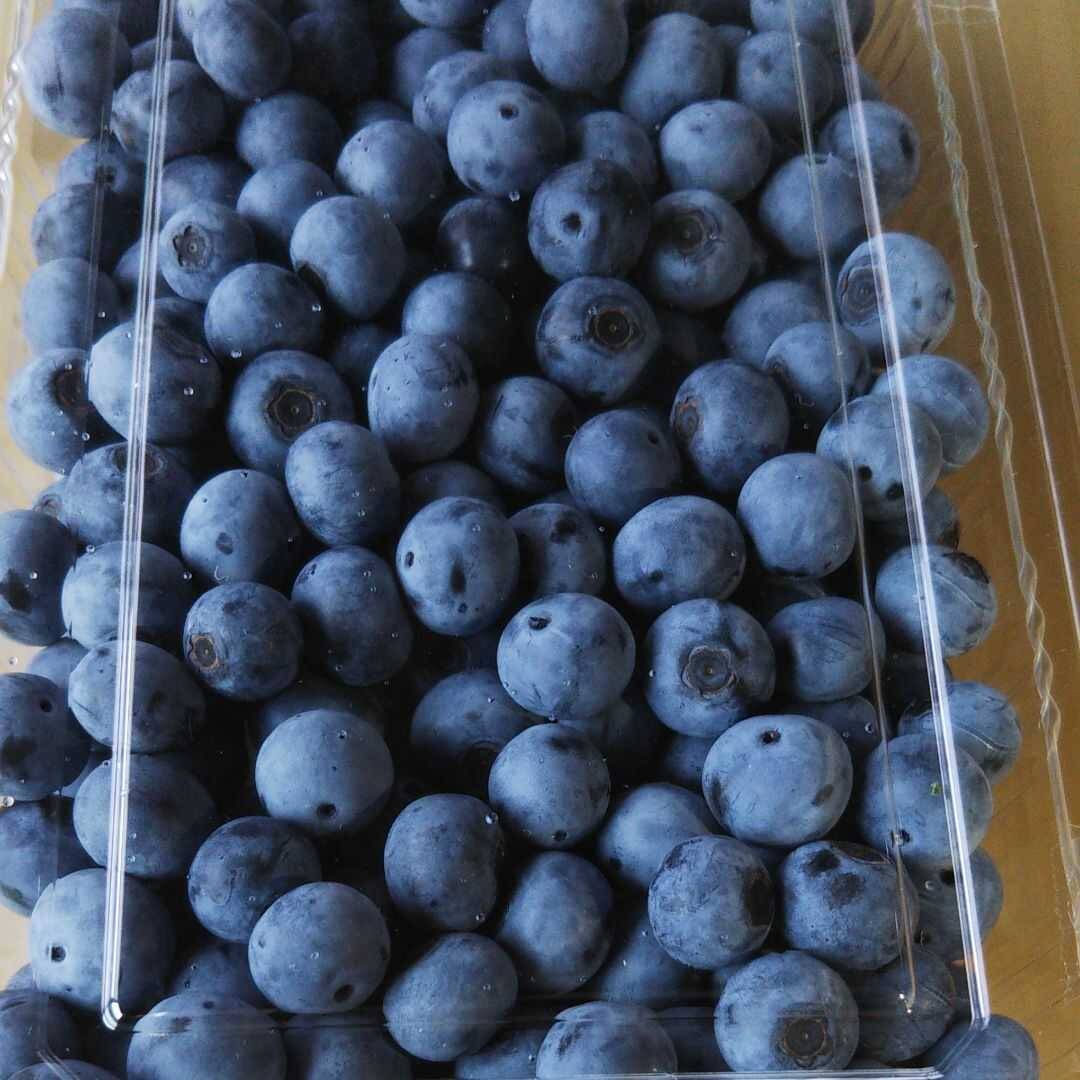 1d7d6bf50825433ba8a373e011e631