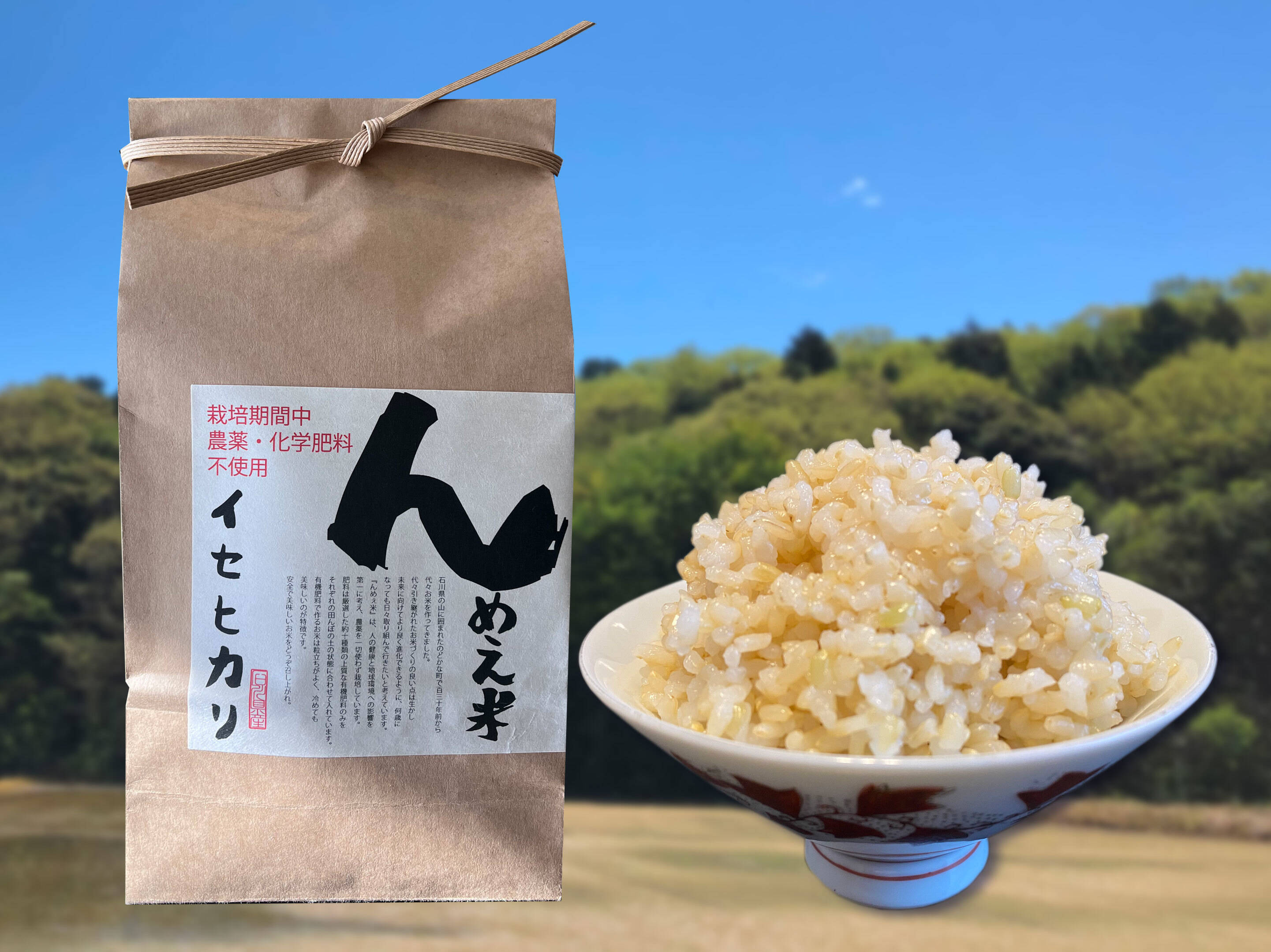 玄米20kg【完全自然栽培の美味しいお米！】令和2年度佐賀県産
