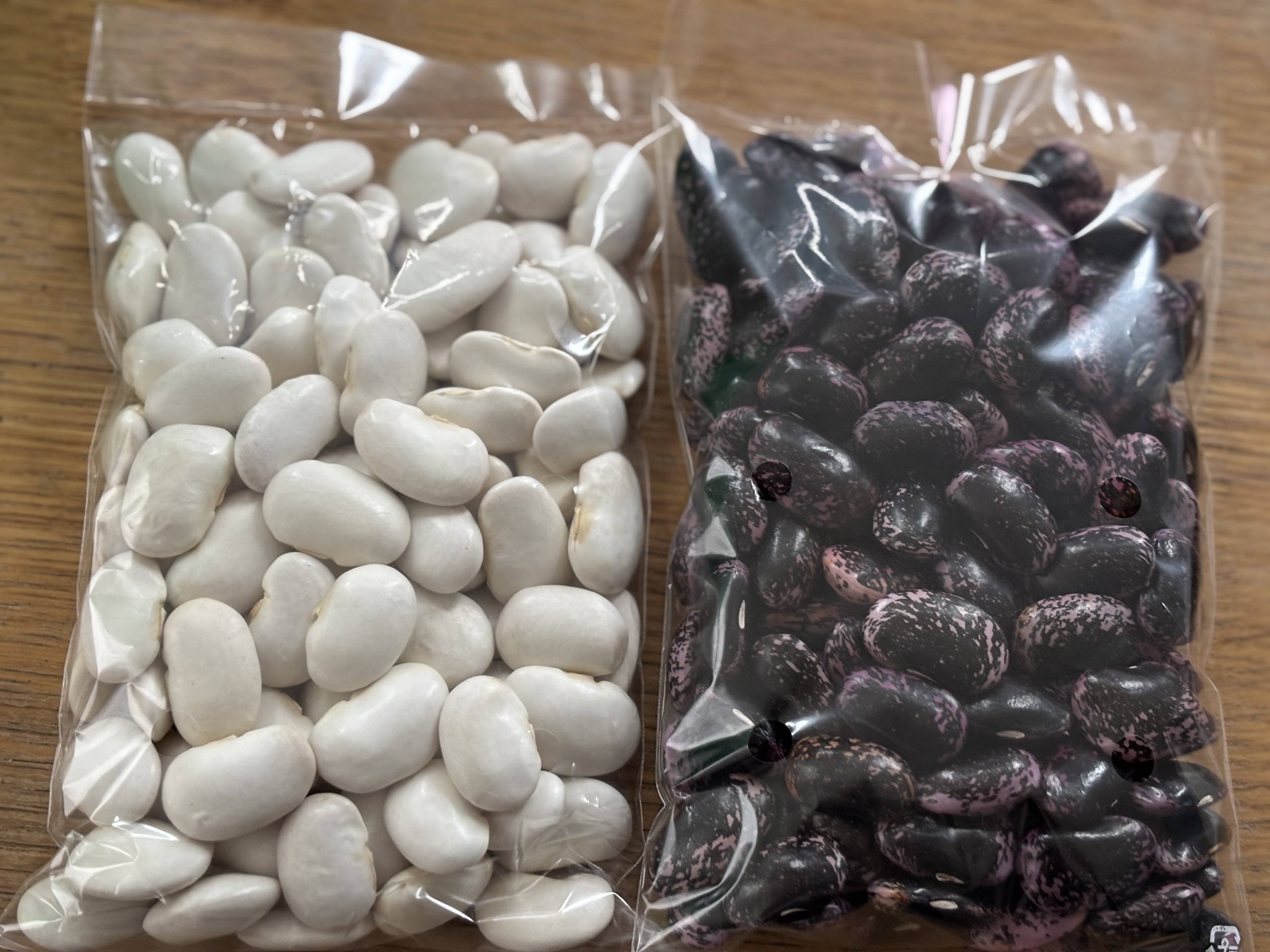 令和7年 北海道産 白花豆250g&紫花豆250g：北海道産の花豆｜食べチョク