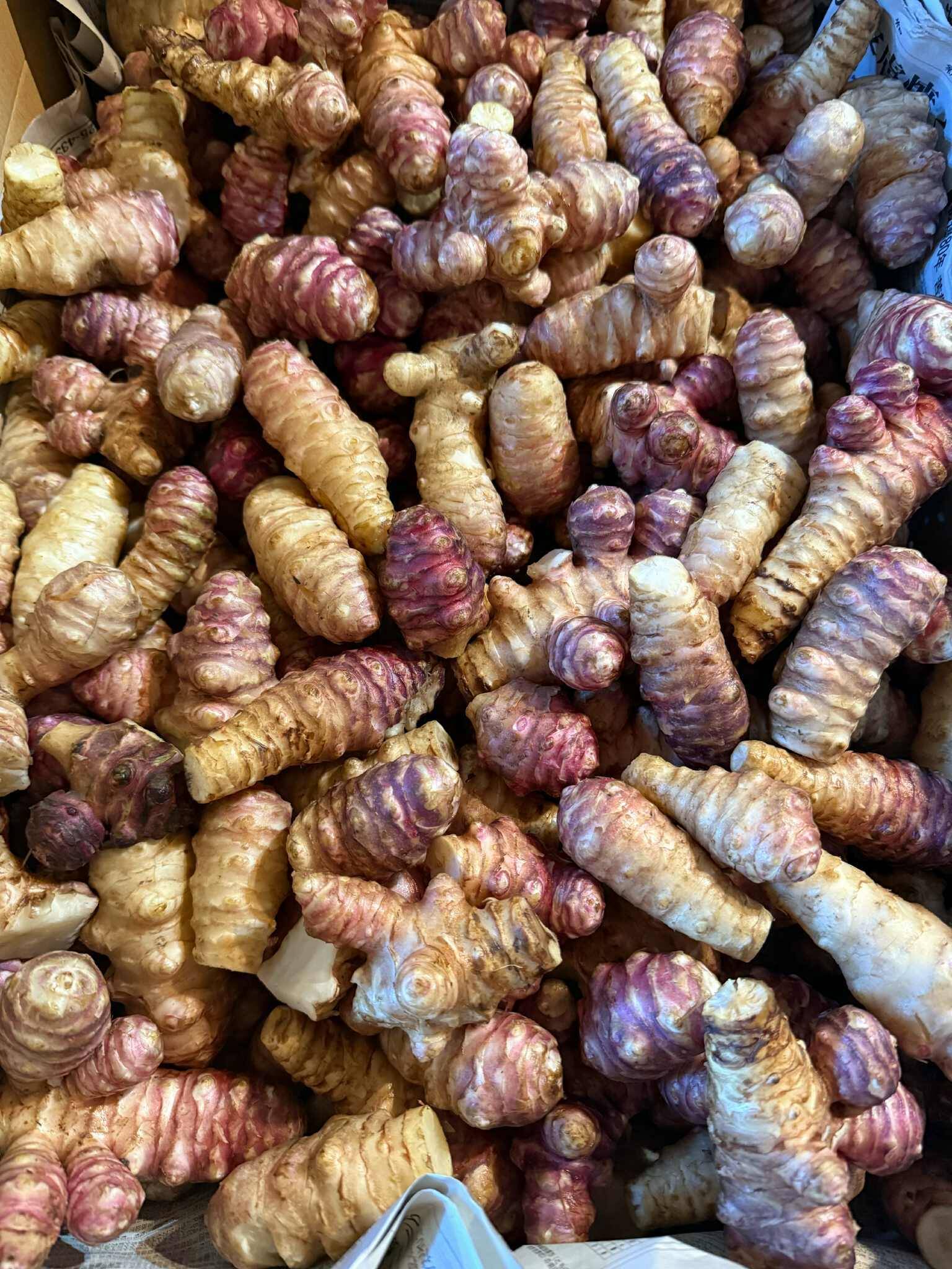 ☘️フランス菊芋ショップ　ウッチャン☘️ 食品乾燥機 TM-4355 楽天市場】有機JAS国産菊芋チップス 230g【送料無料】産の有機JAS菊芋