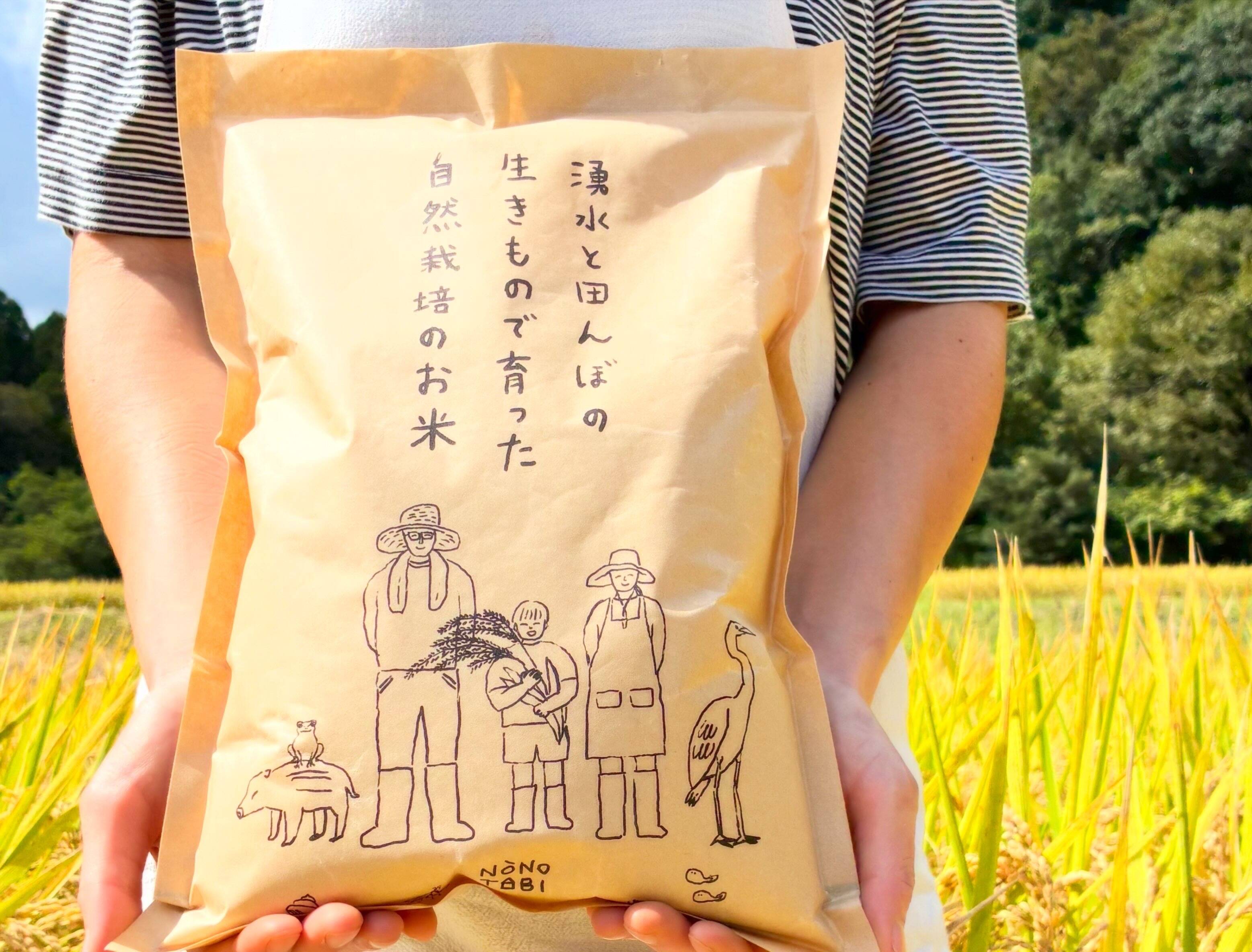さよ 自然栽培米　100kg 令和8年新米】湧水と田んぼの生きもので育った自然栽培のお米（白米5Kg