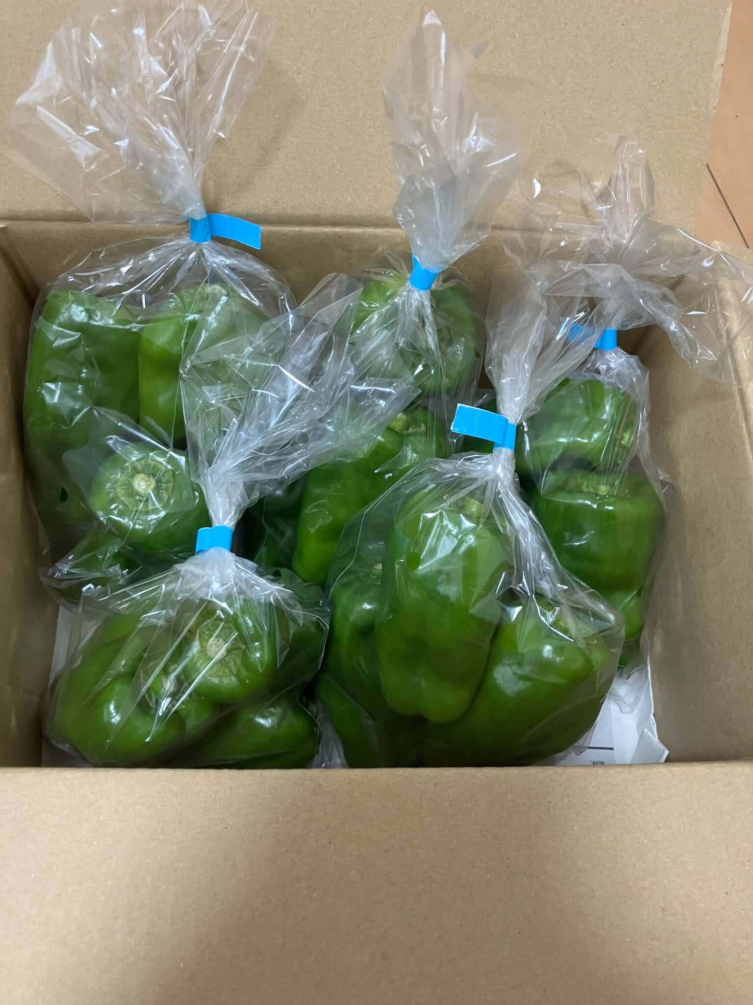 ピーマンさん専用 自然農法園のピーマン20個 1Kg：長野県産の品種おまかせ｜食べチョク