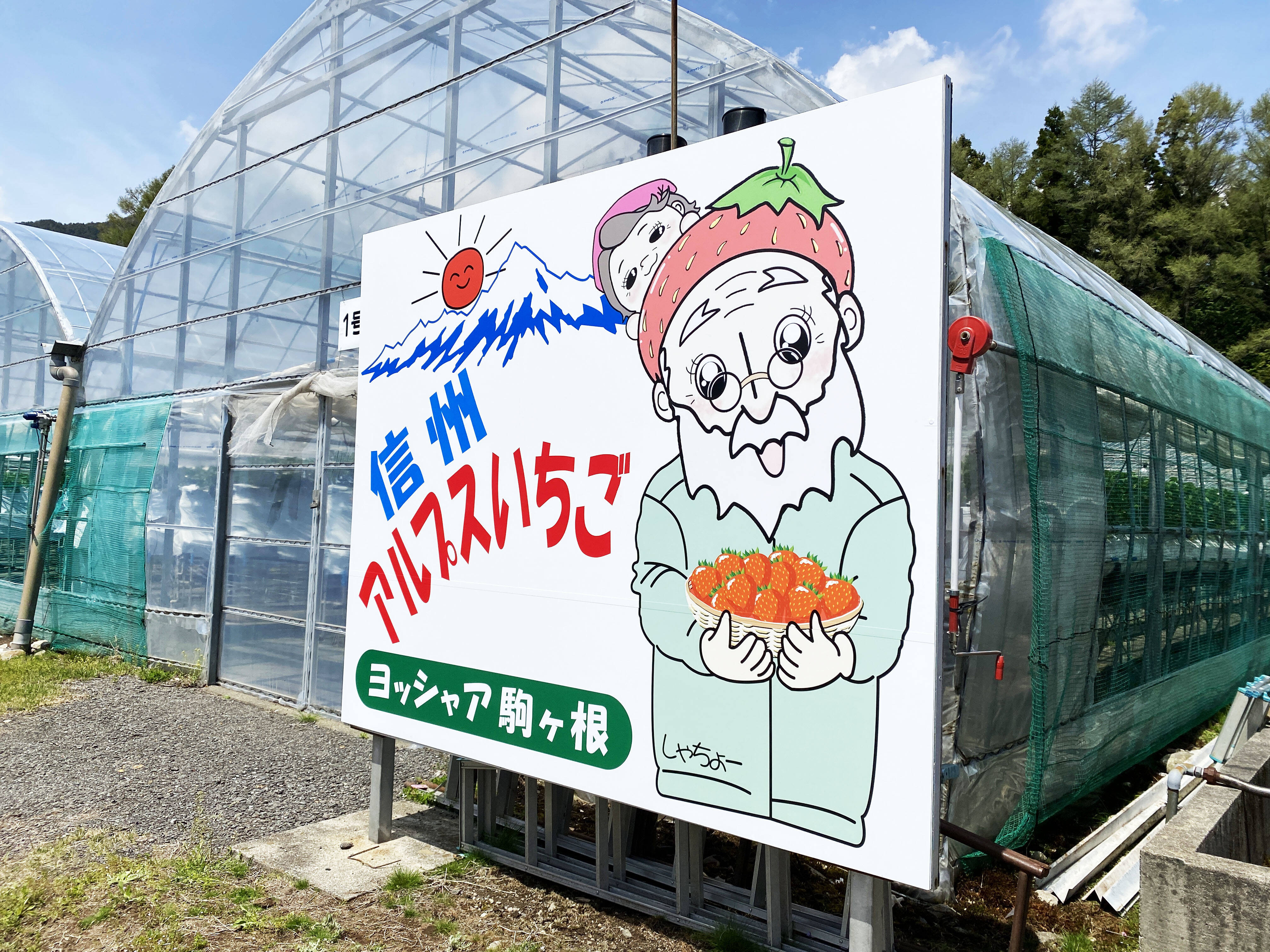 南信州アルプスイチゴ農園 ヨッシャア駒ヶ根へのレビュー・商品：長野県｜食べチョク｜産地直送(産直)お取り寄せ通販 - 農家・漁師から旬の食材を直送