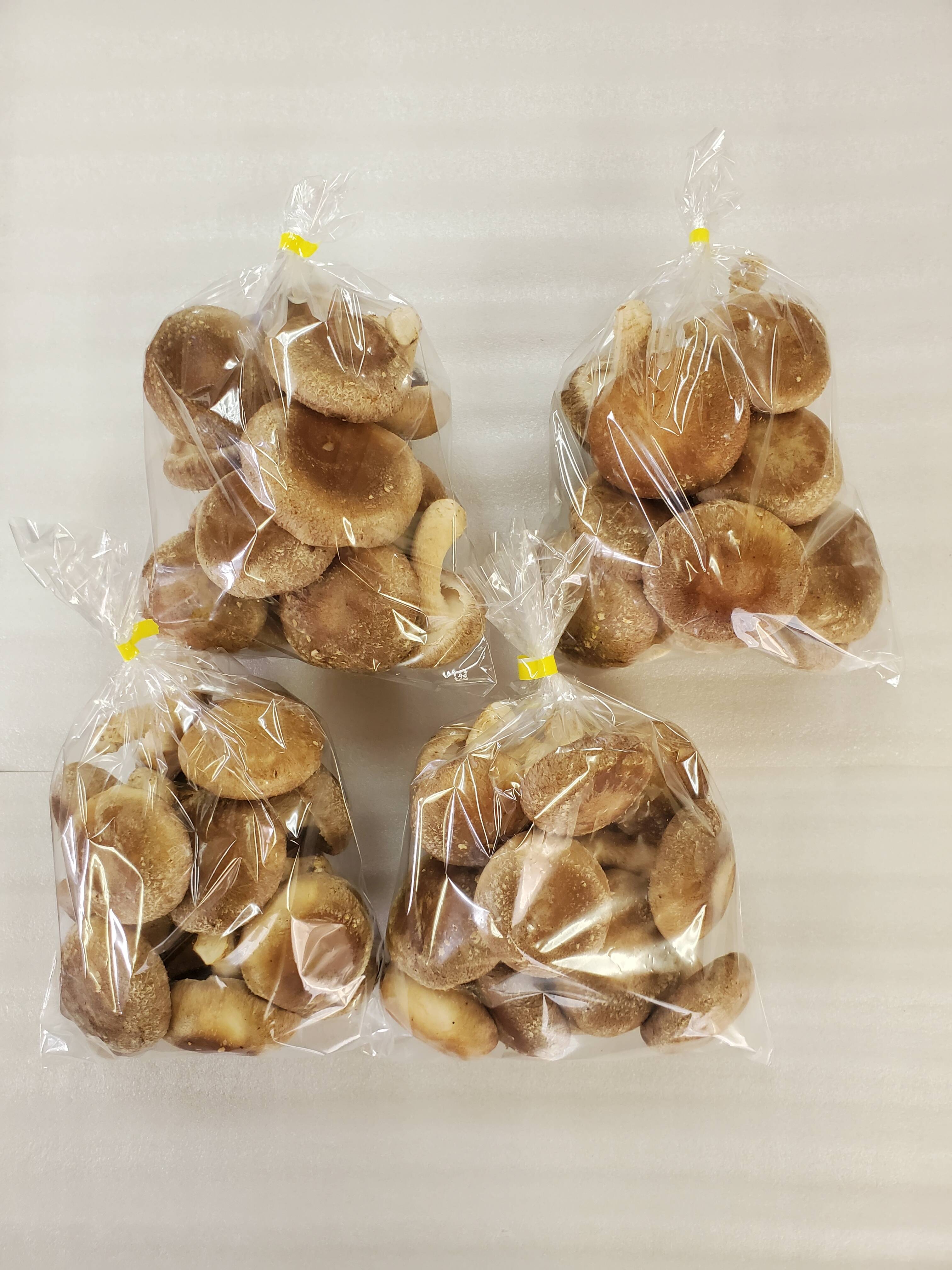 極厚！食べ応えあり！肉厚しいたけ（菌床） 2kg：青森県産のシイタケ