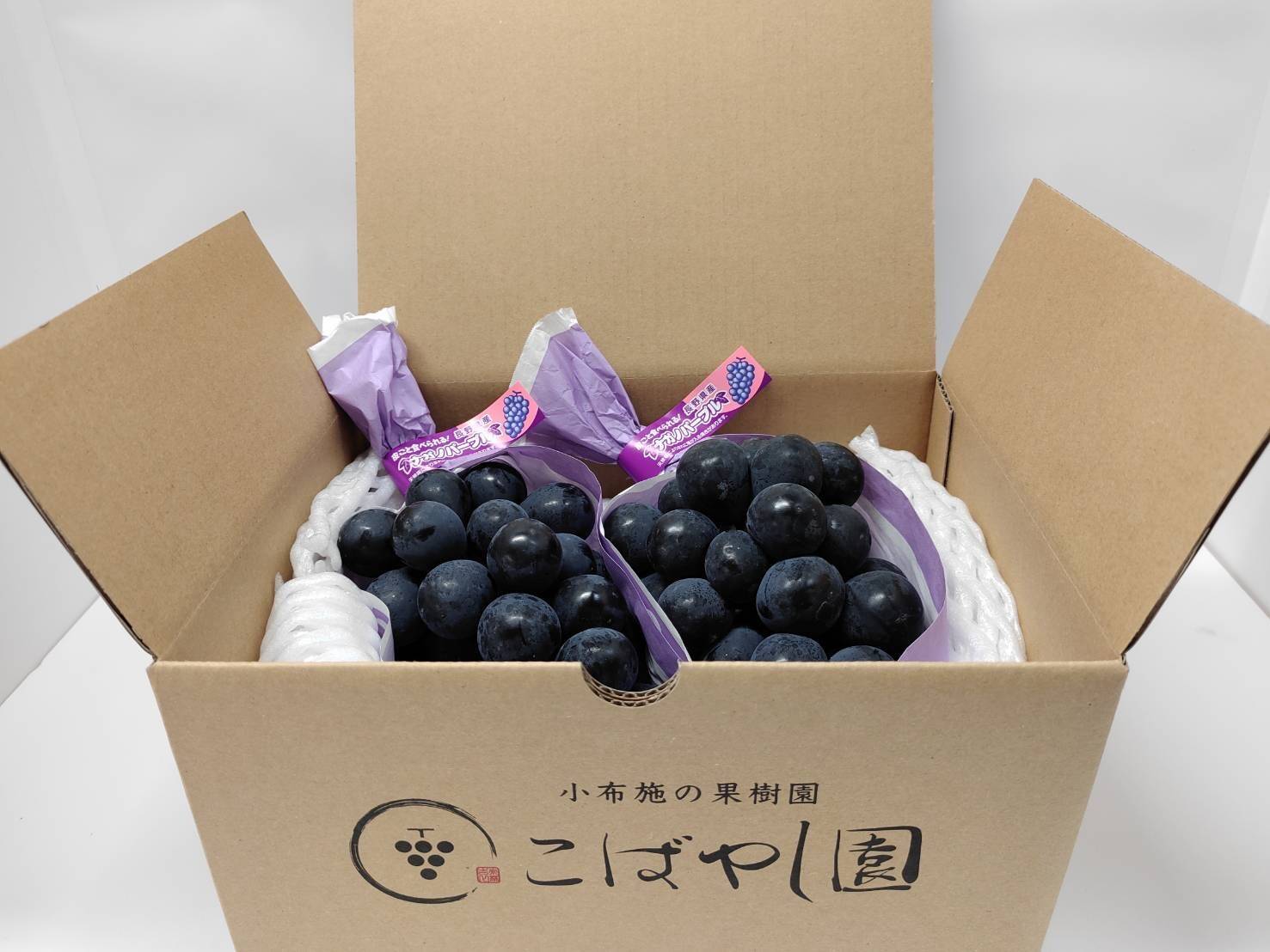 信州ナガノパープル2房約1kg×2箱 先行受付】信州産 ナガノパープル 2房（約1kg）｜ふるさと納税