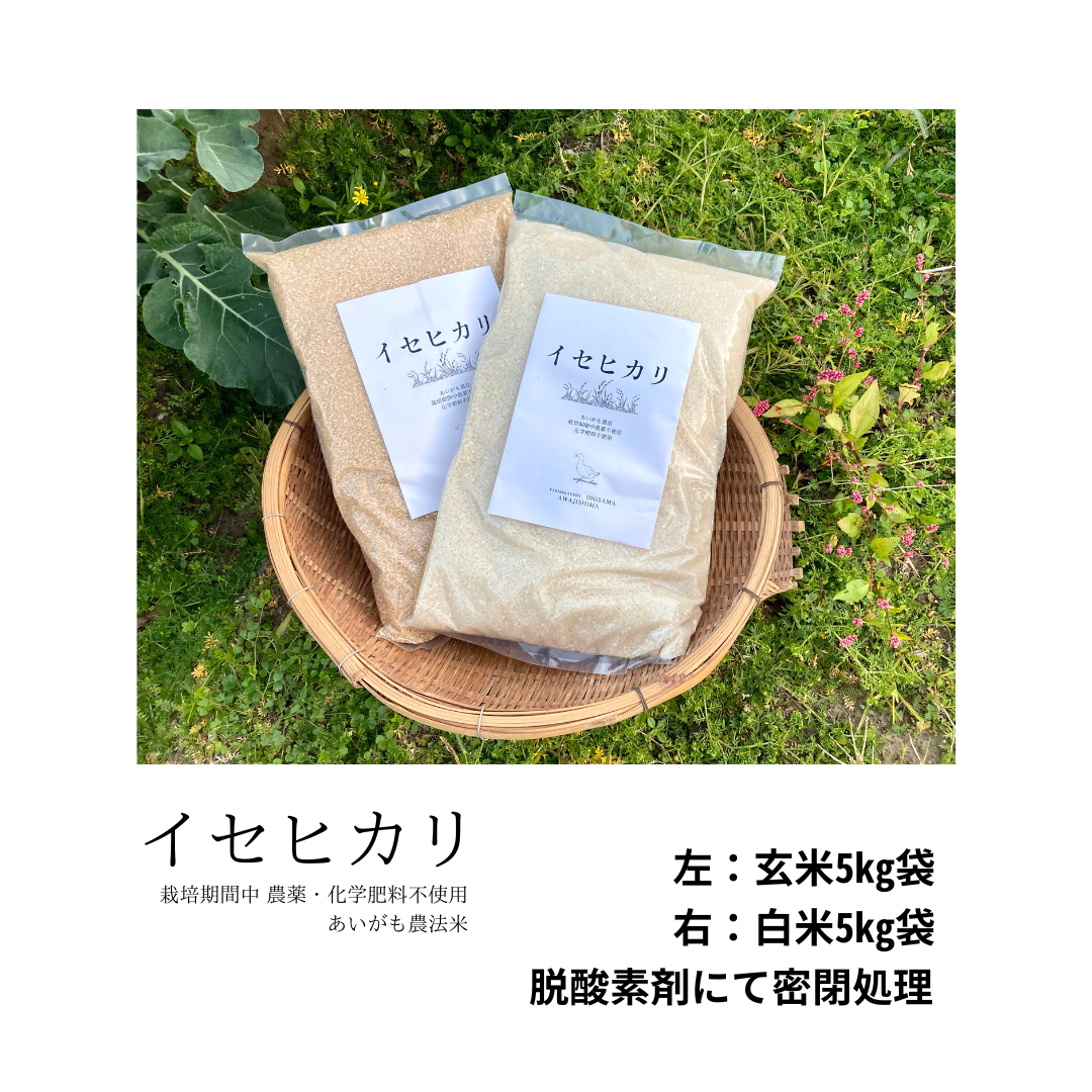 神様のお米イセヒカリ！『アイガモ農法米』農薬、化学肥料不使用！玄米