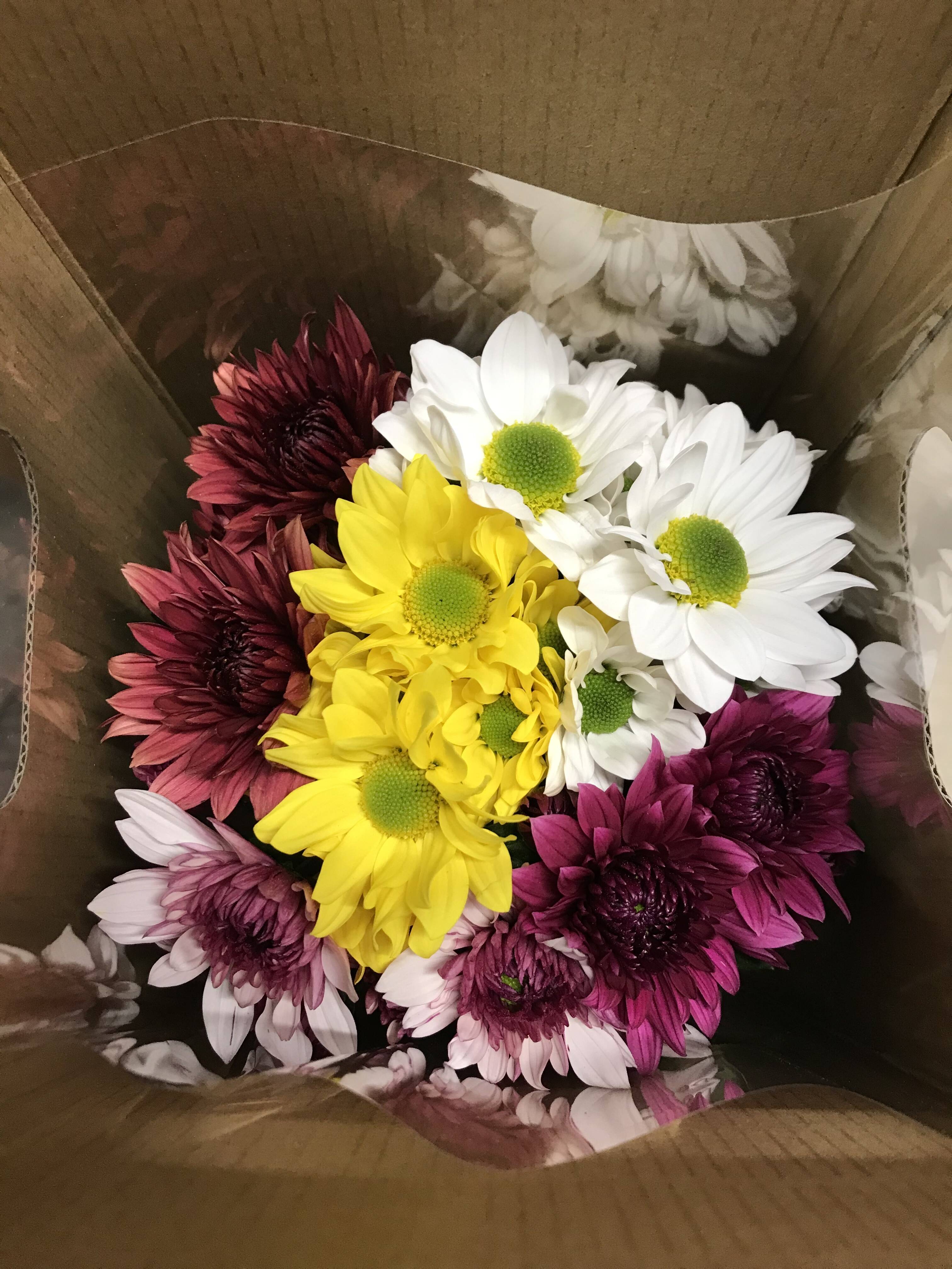 花農家直送！！クルクマ❀ご予約専用ページ❀商品説明必読！！です！！❀ 大分県産スプレーマム アソートMIX：大分県産の花・植物｜食べ