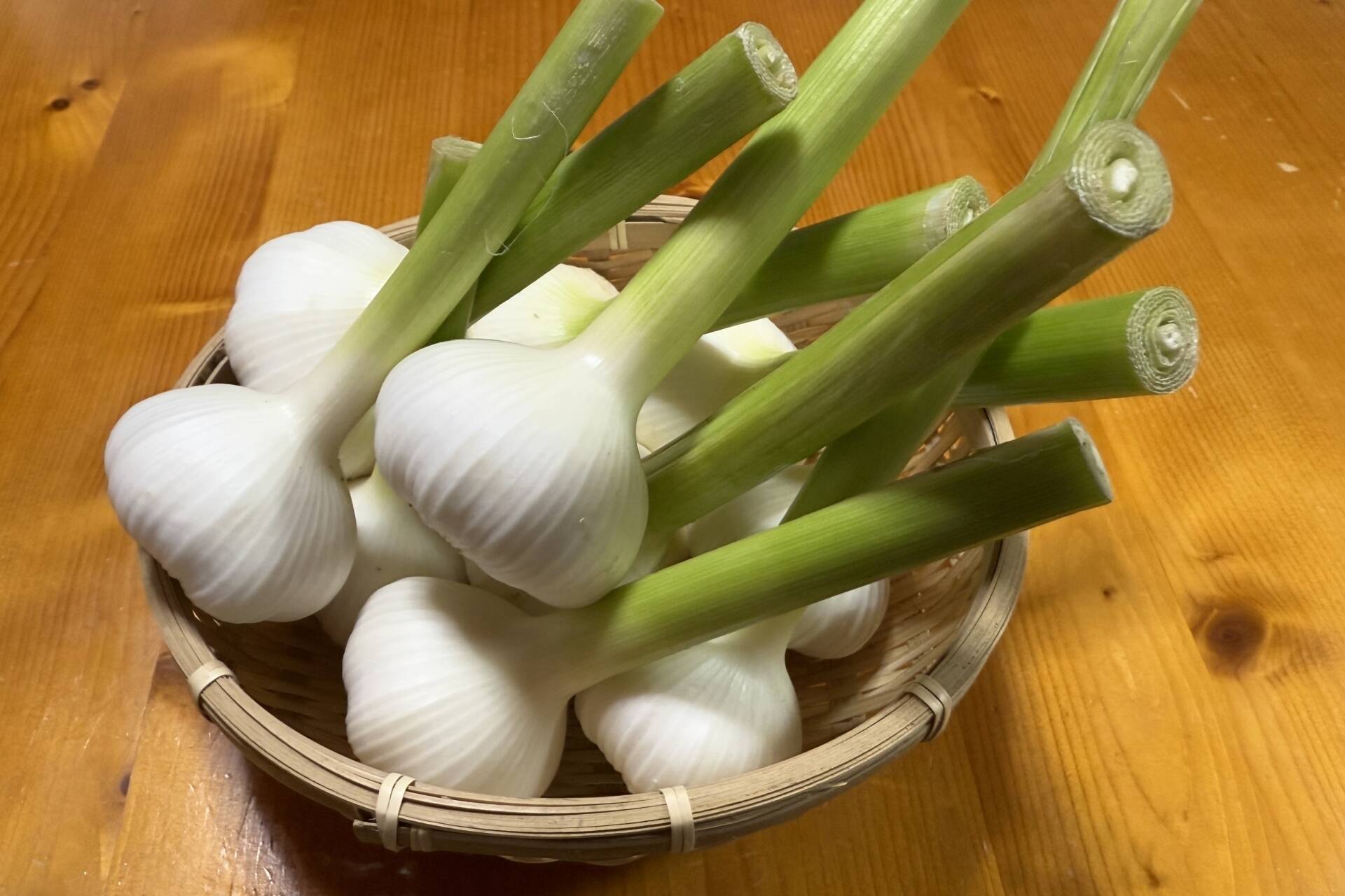 生にんにく 旬の今だけ！みずみずしいフレッシュな生にんにく1
