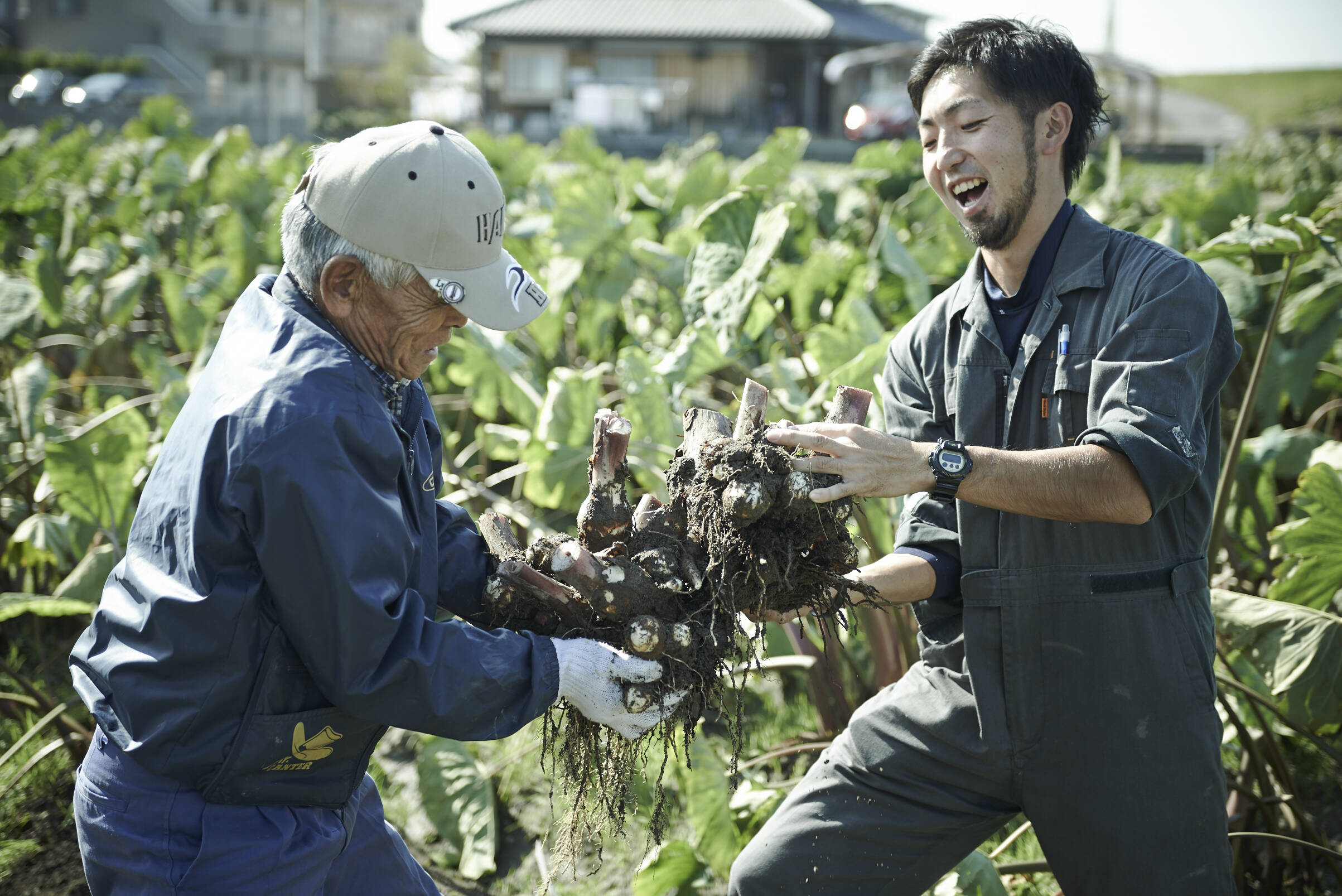 おかもと農園の紹介 兵庫県 食べチョク 農家 漁師の産直ネット通販 旬の食材を生産者直送