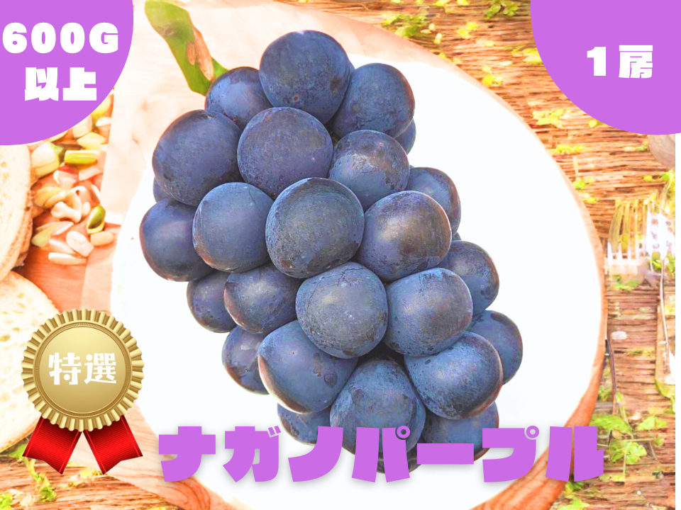 ナガノパープル 約5kg 須坂市産 ナガノパープル5kg 7～9房 | SonosatoFarm