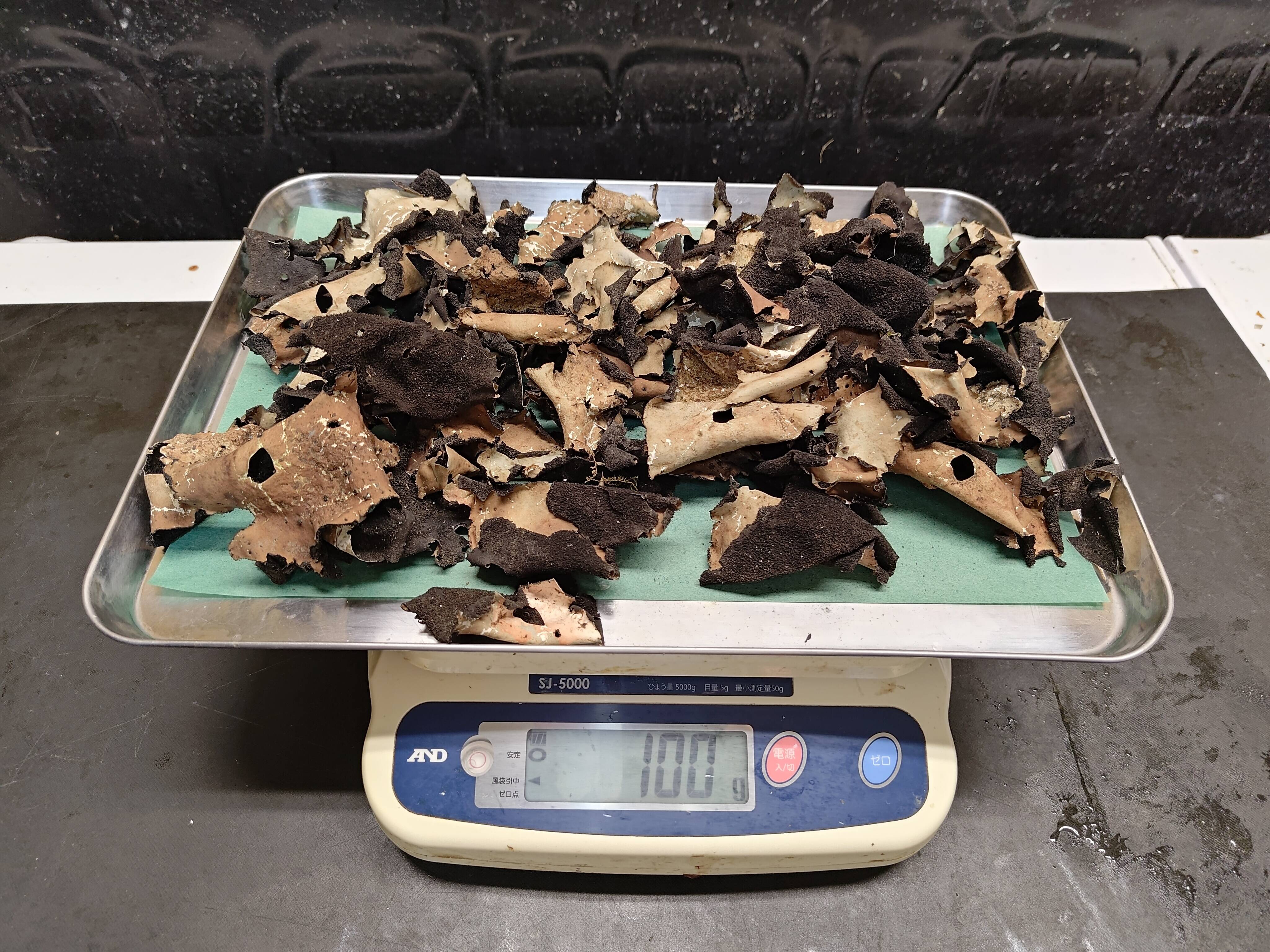 国産天然茸】岩茸/石茸/高山の崖に生える幻のきのこ/乾燥100g：鳥取県