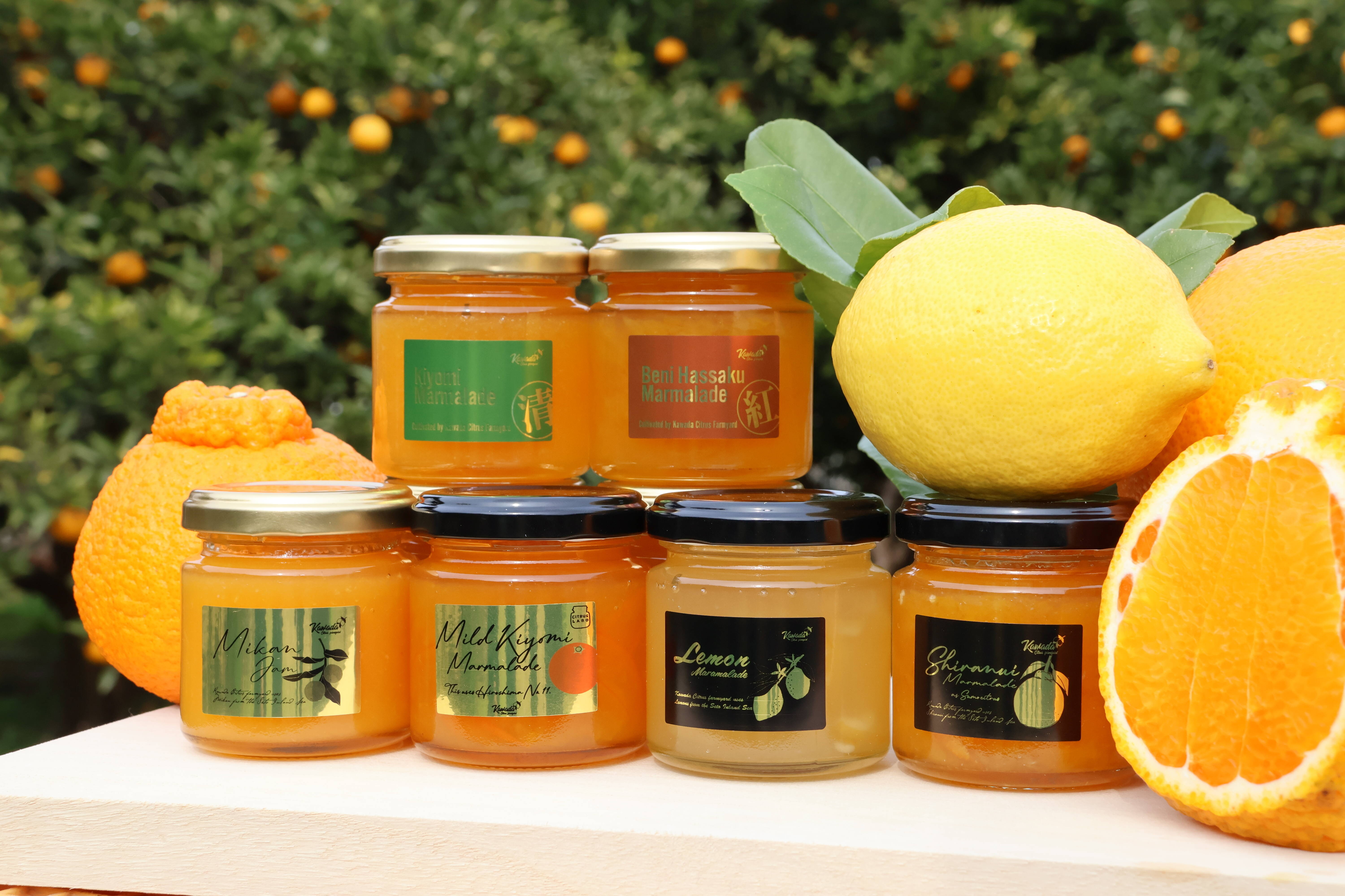 🍊 とびしま海道・大崎下島 大長地区産 選べる柑橘マーマレード 4本