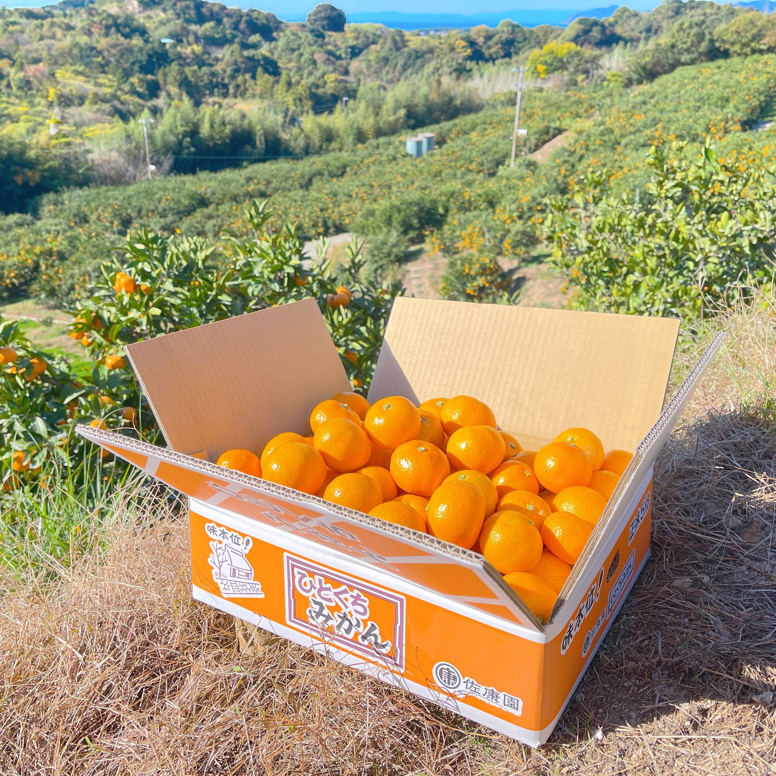 1f07a5aa91a778d0adcea42af6f7b5