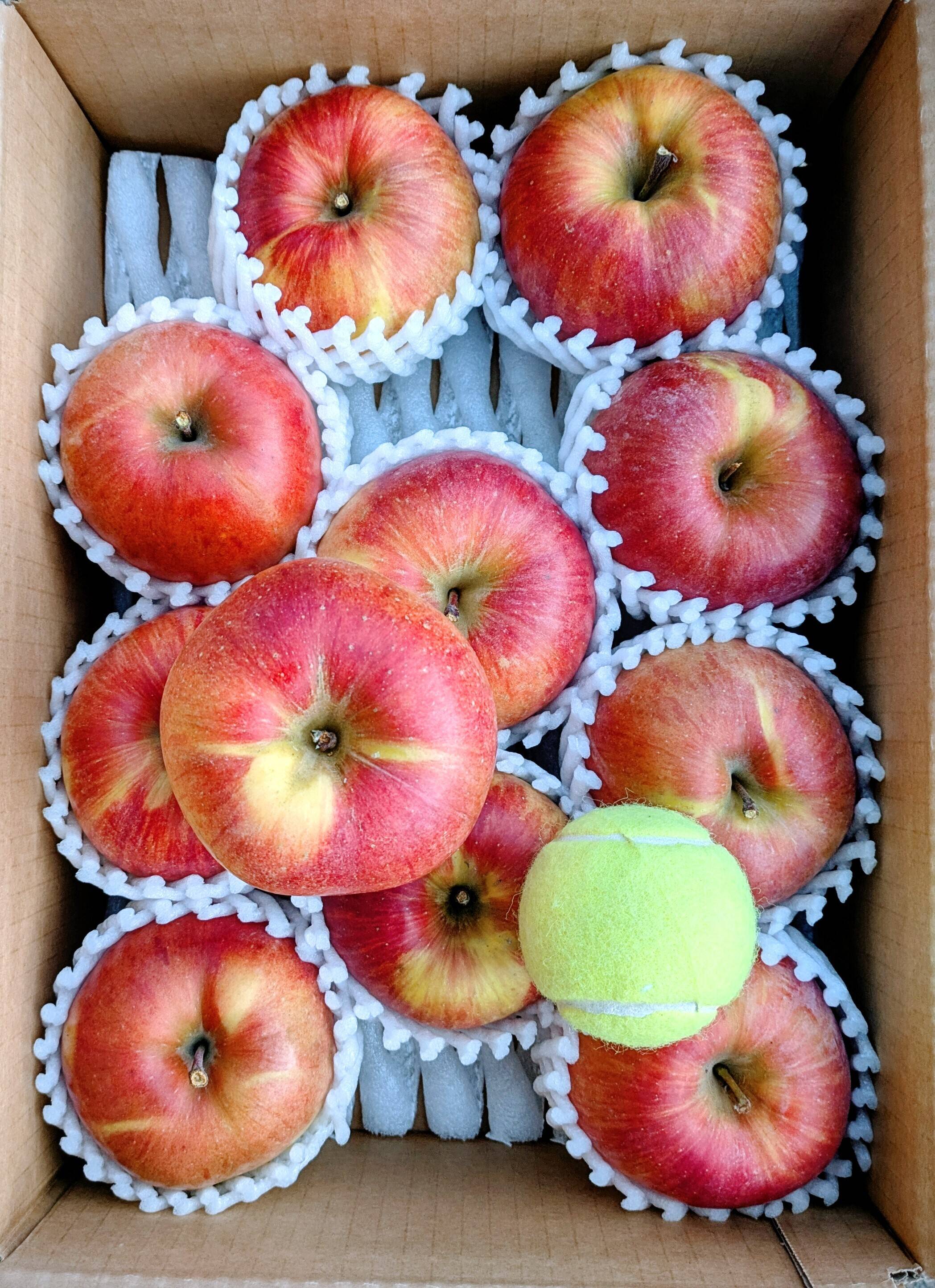 残りわずか】長野生まれのレア品種！あいかの香り 約3kg：長野県産の