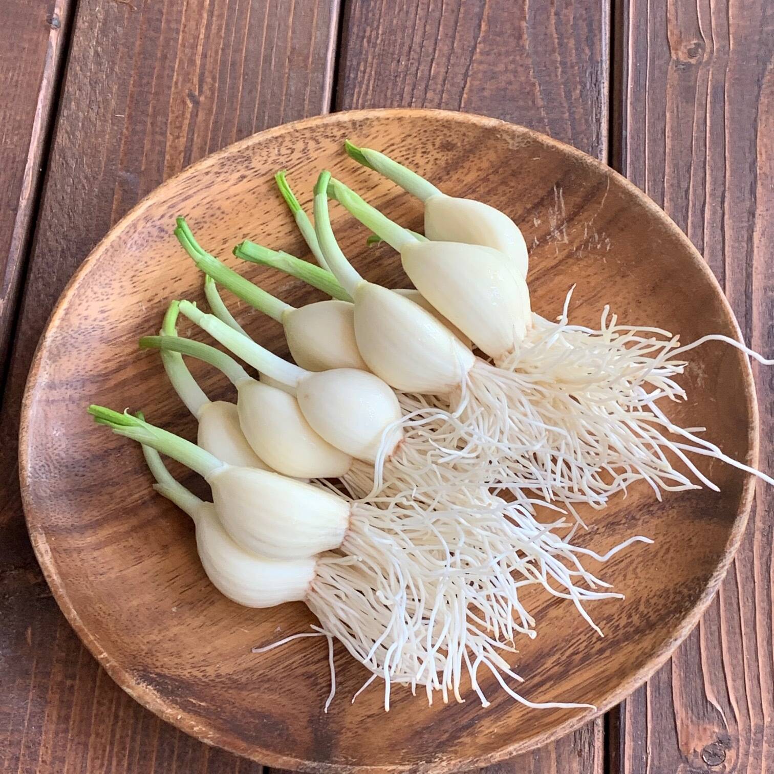 野蒜苗100本 - 野菜