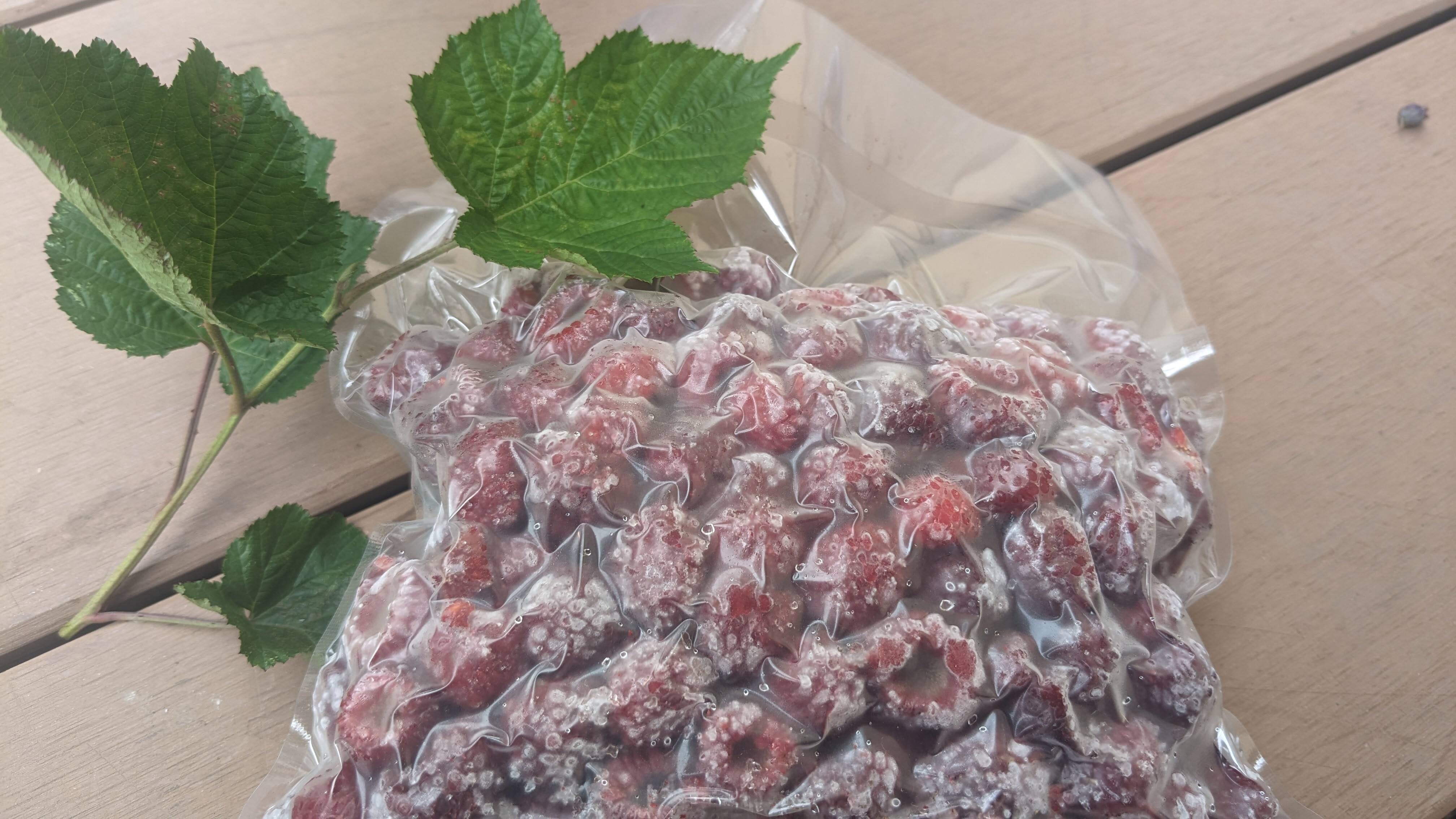 ラスベリー　2kg (冷凍) 大容量】採れたてをすぐに冷凍！国産冷凍ラズベリー（2kg