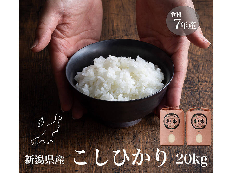 新潟県産コシヒカリ,和泉,20kg,令和7年新米,【受注後精米・農家直売