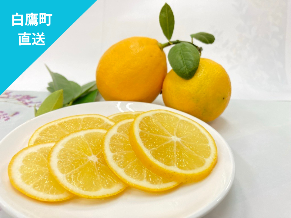 山形県白鷹町産】丸かじり！マイヤーレモン 1kg：山形県産のみかん