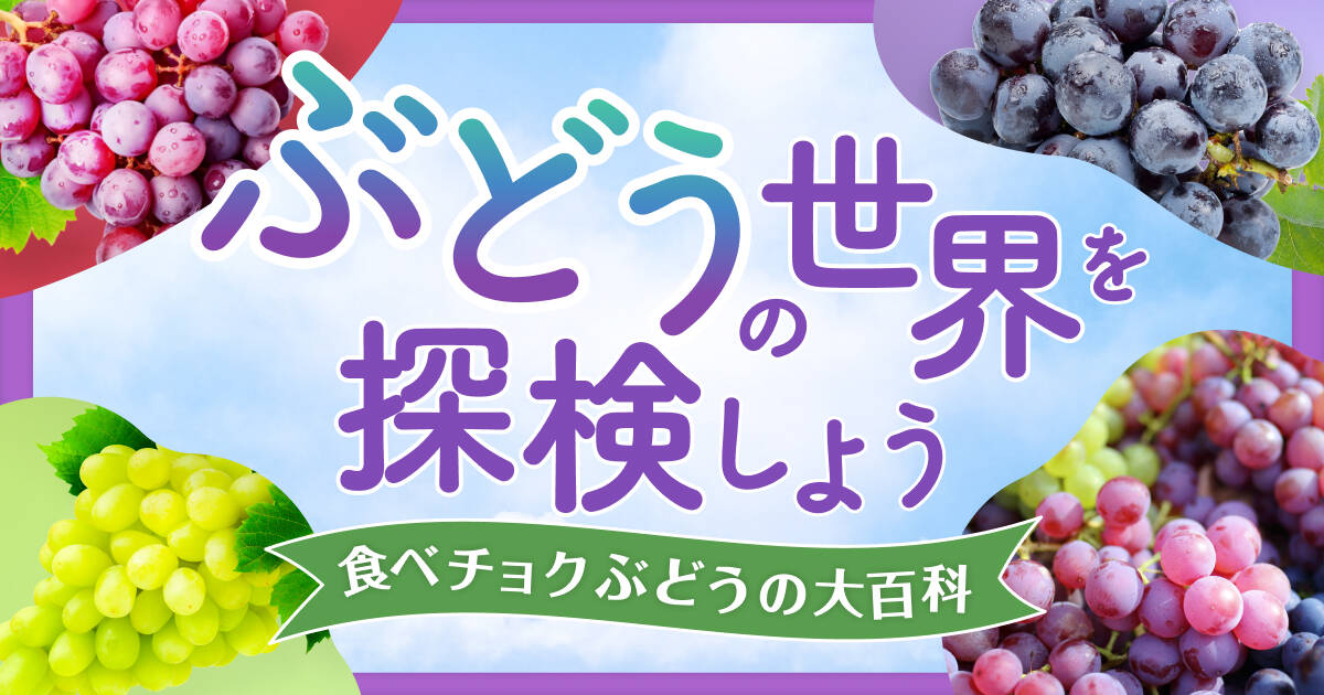 🍴 Eat choku ｜ [Let's explore the world of grapes] 35 varieties of grapes are released for each feature! | Eat chalk
