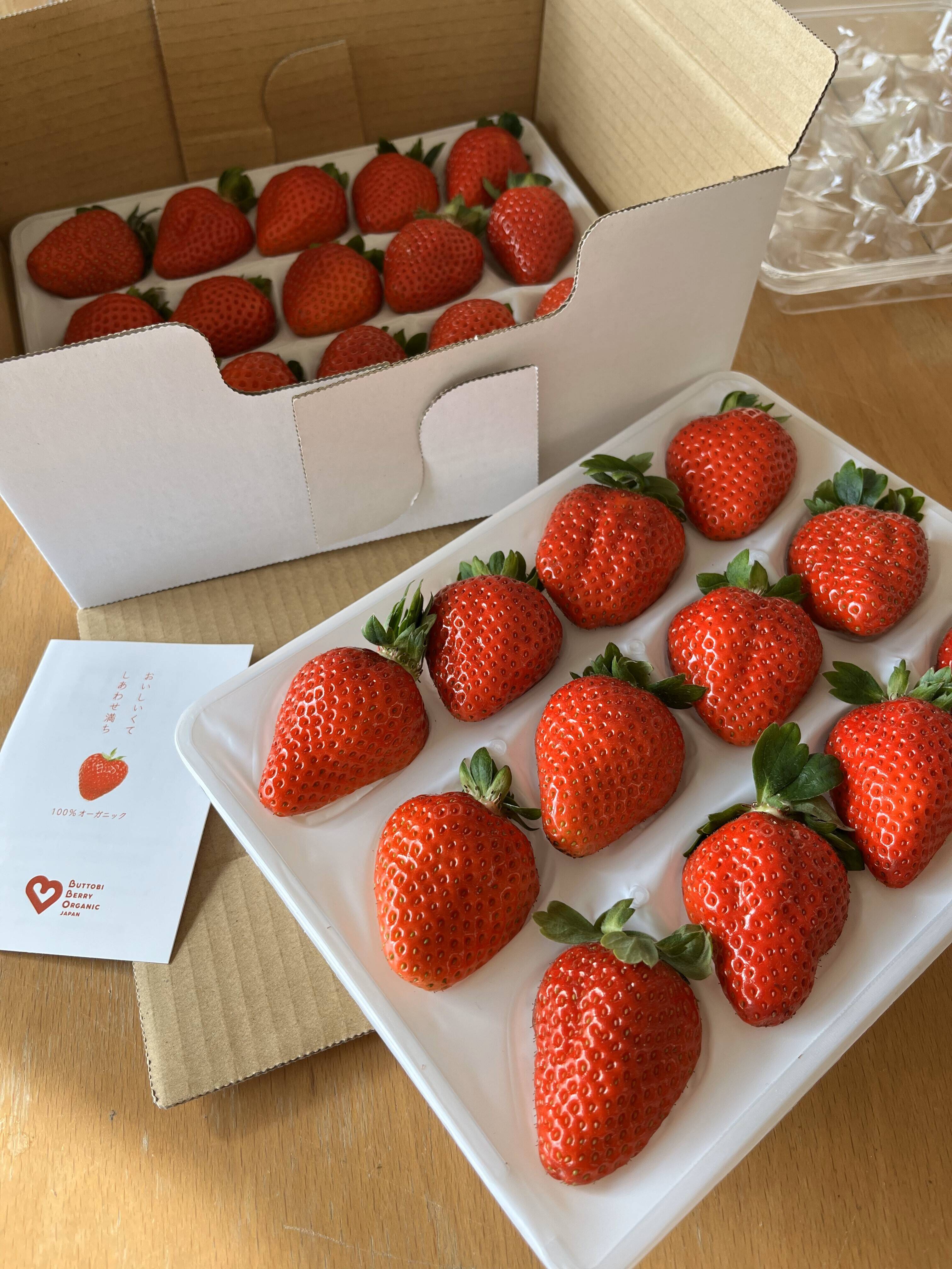 農薬ゼロ 100%オーガニックいちご 大粒(15~12粒) 2パック：徳島県産の