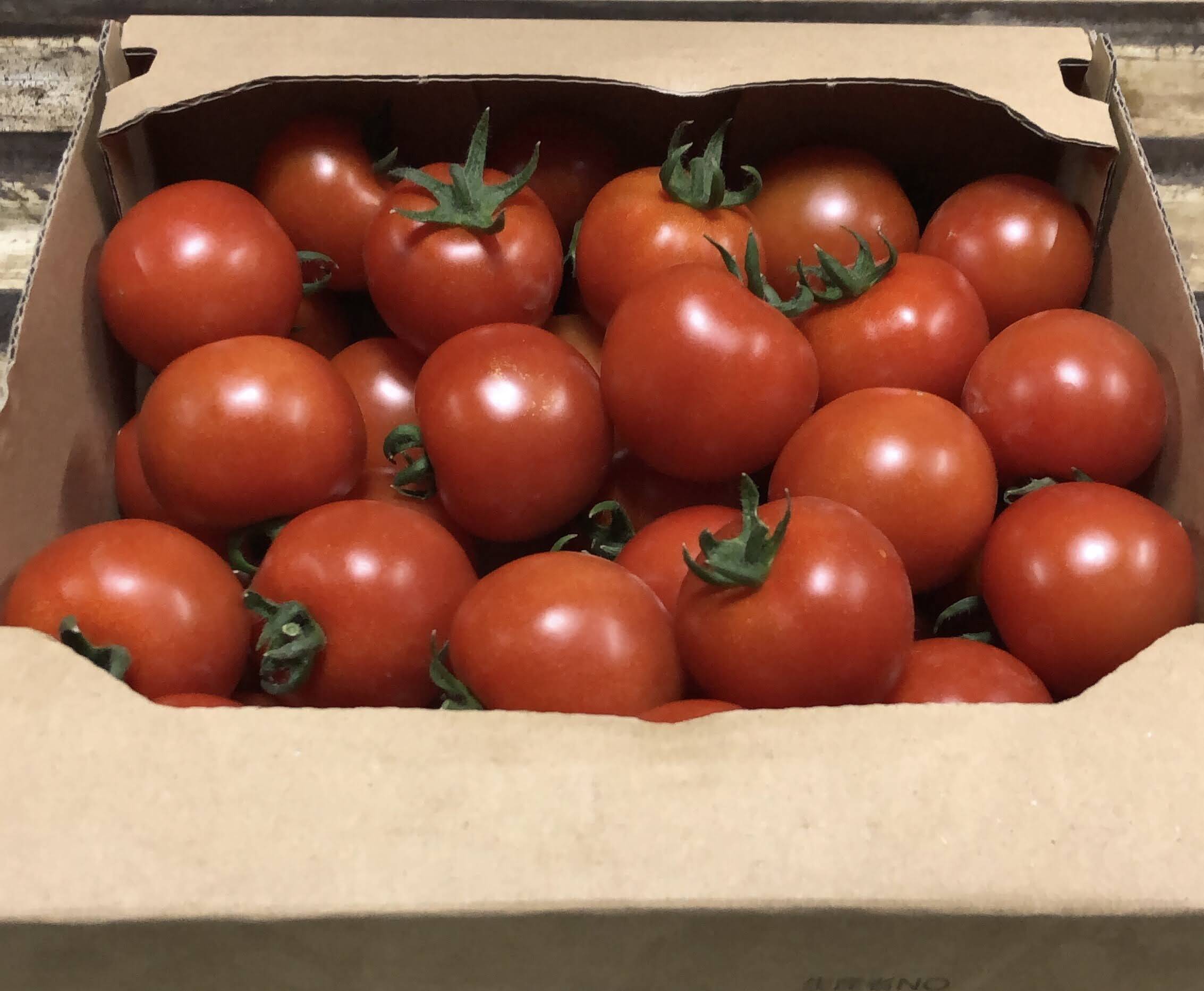 トマト好き フルーツミニトマト GRAND QUEEN 約250g | OSMIC FIRST onlineshop