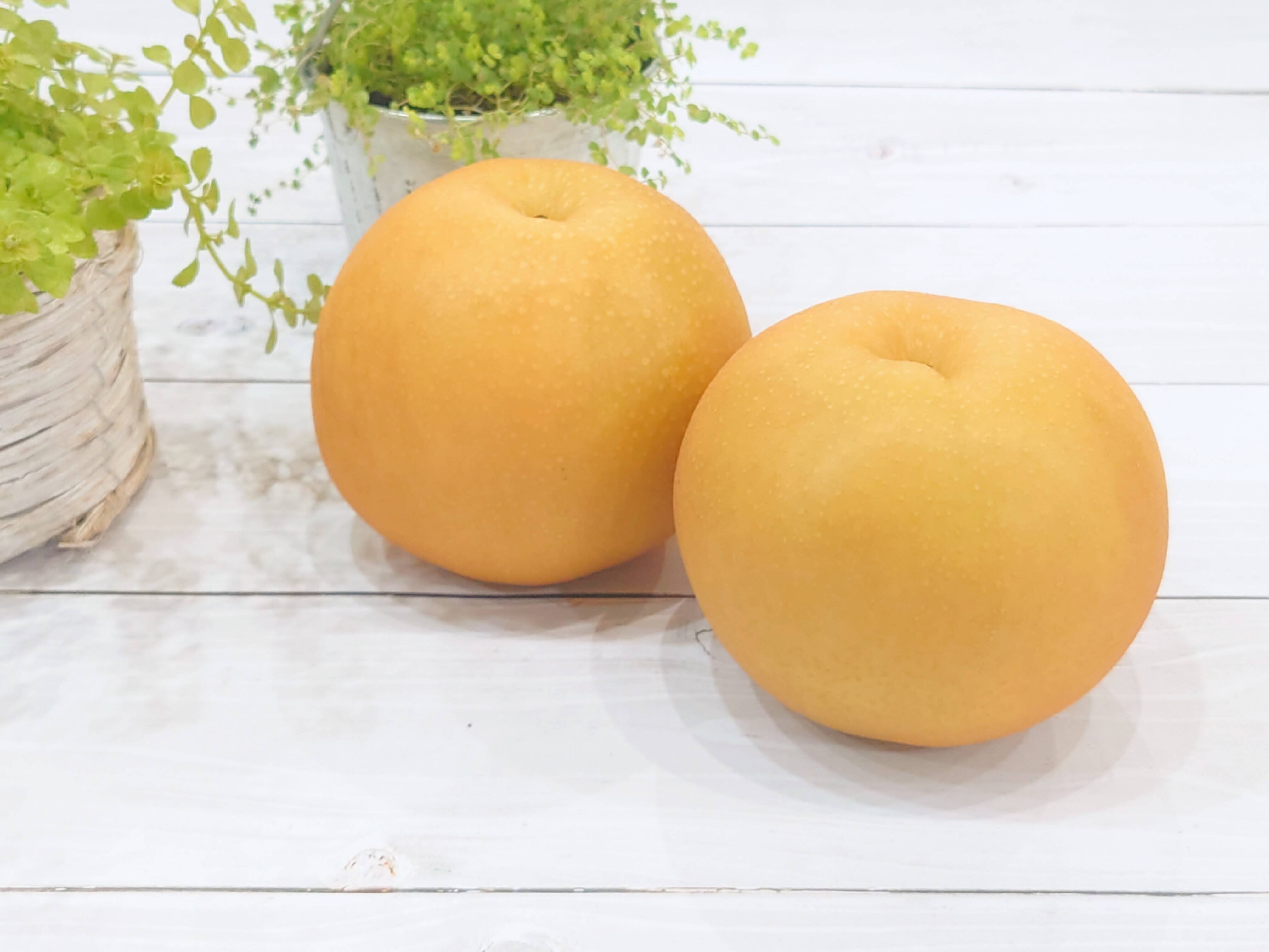 迫力の大きさ！芳醇な香りの新高梨 大きめ果実 約3kg：新潟県産の新高梨｜食べチョク｜産地直送(産直)お取り寄せ通販 - 農家・漁師から旬の食材を直送
